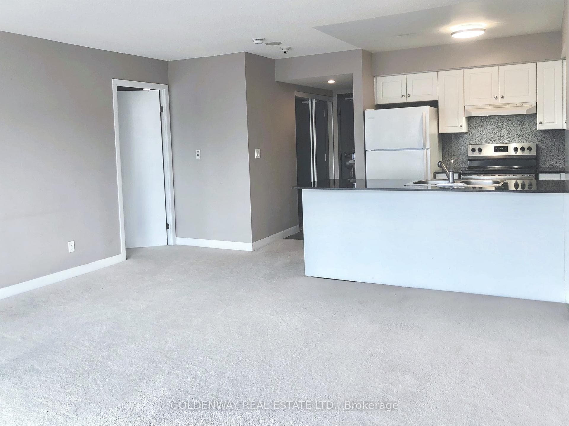 210 Victoria Street Unit 3513 photo 5