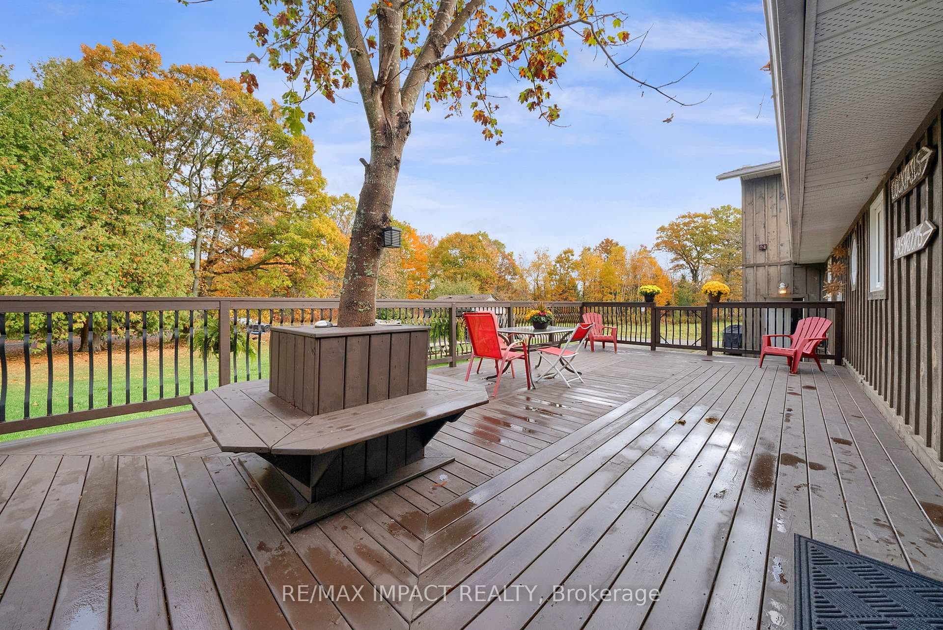 121 Whitehead Road photo 34