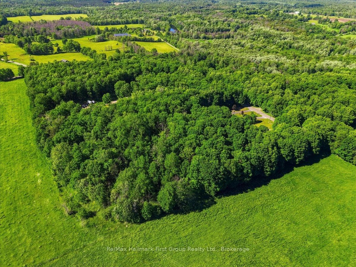 12 Acres of Mature Trees