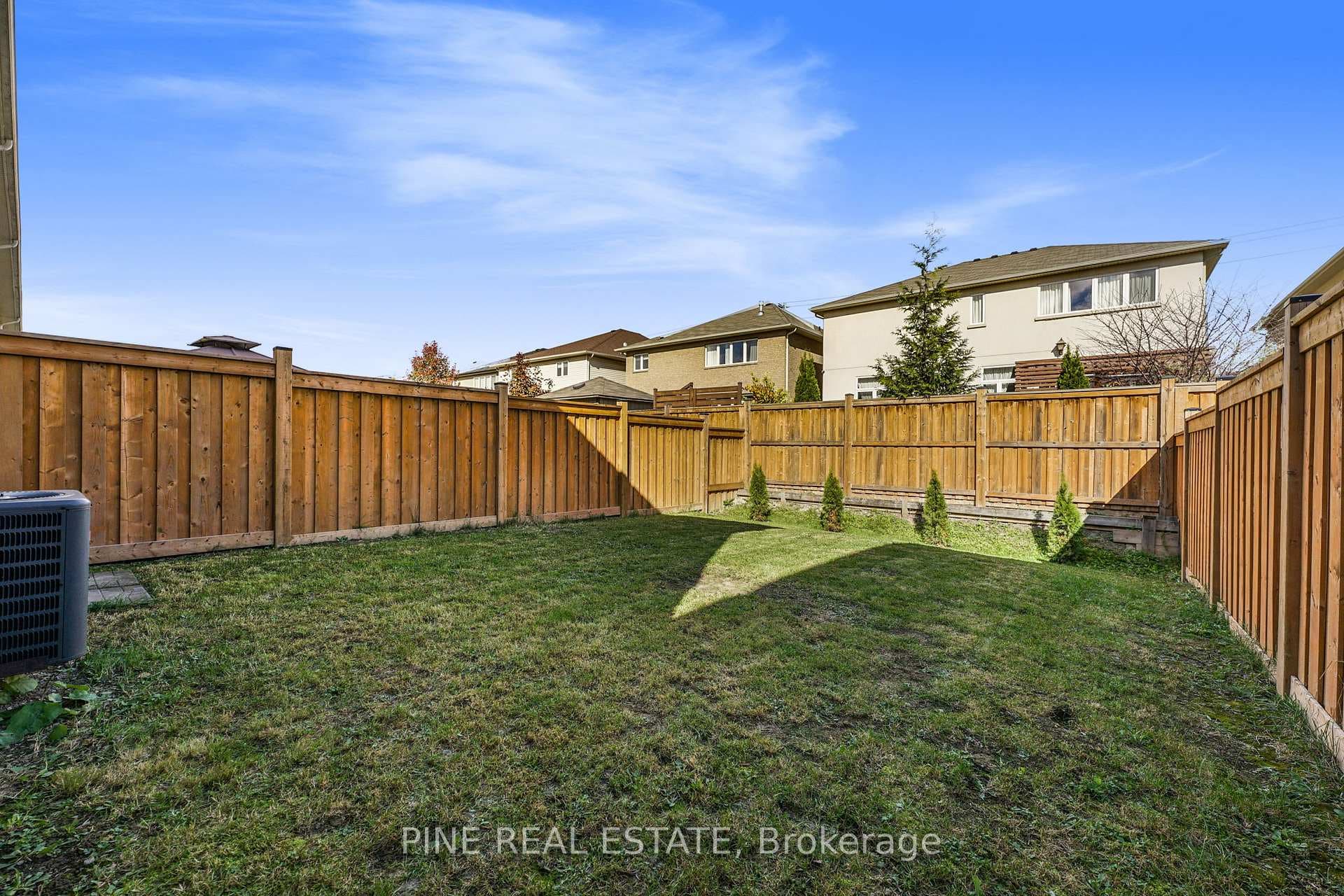 Undiscovered Potential in Backyard