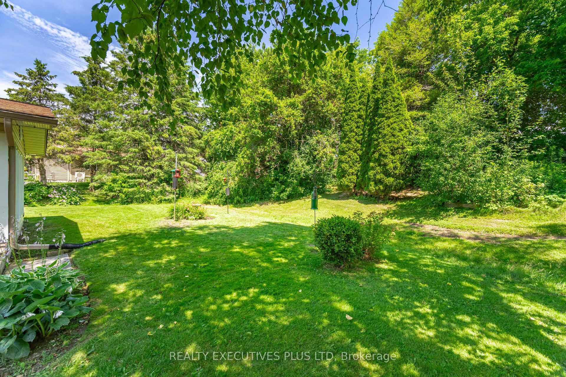 3 Pineview Court photo 31