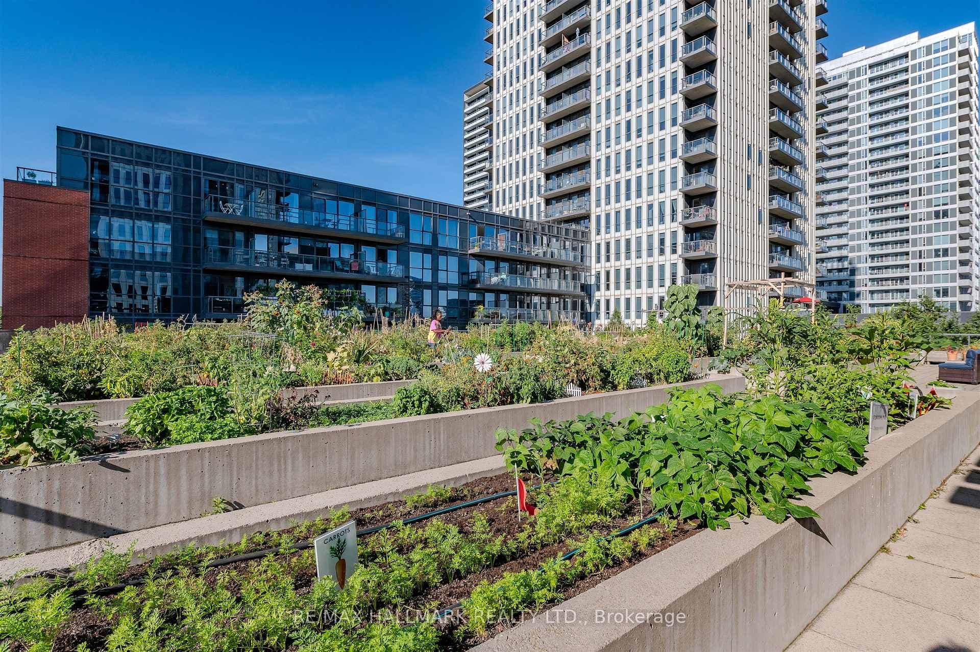 55 Regent Park Boulevard Unit 702 photo 20