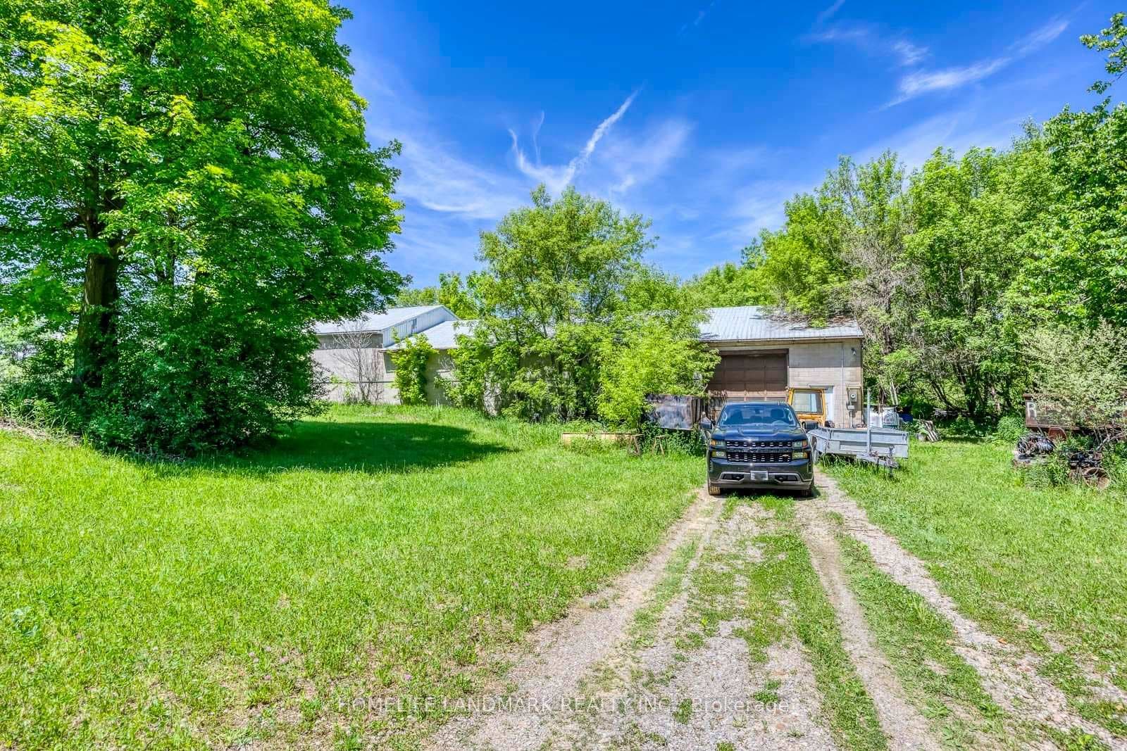 217 Carlisle Road photo 19
