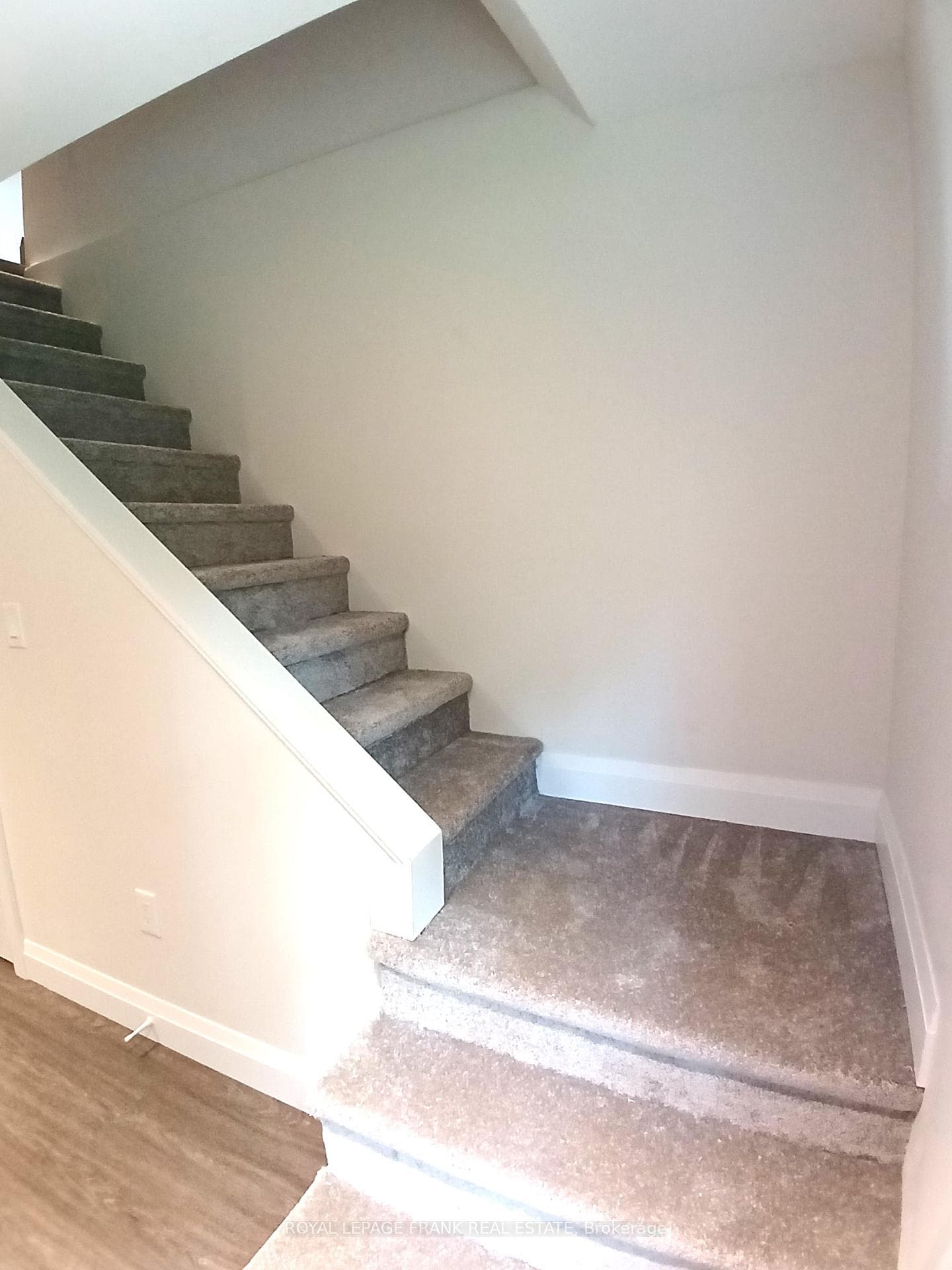 36 Madoc Street photo 23