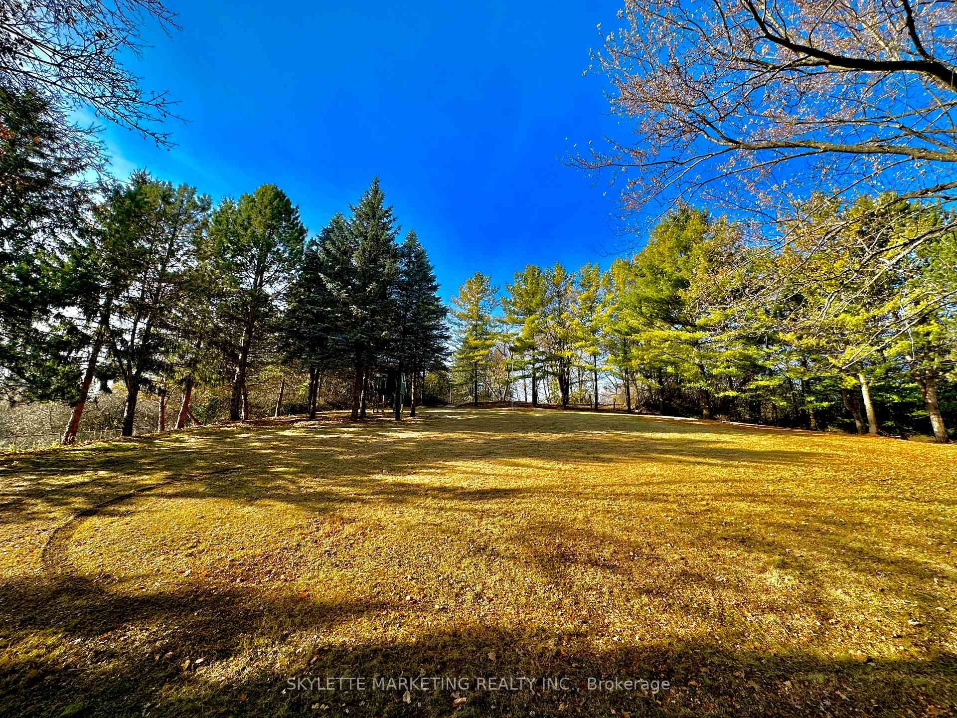 8 Blue Grass Drive photo 6