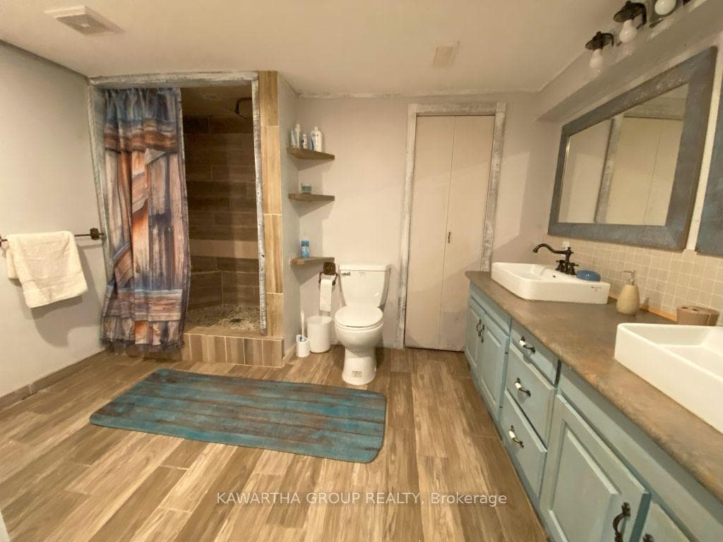 Lower Level Bathroom