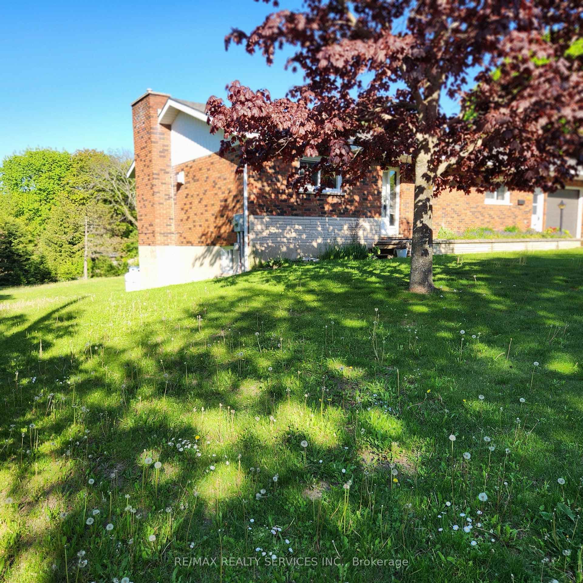 1 Helen Street photo 36