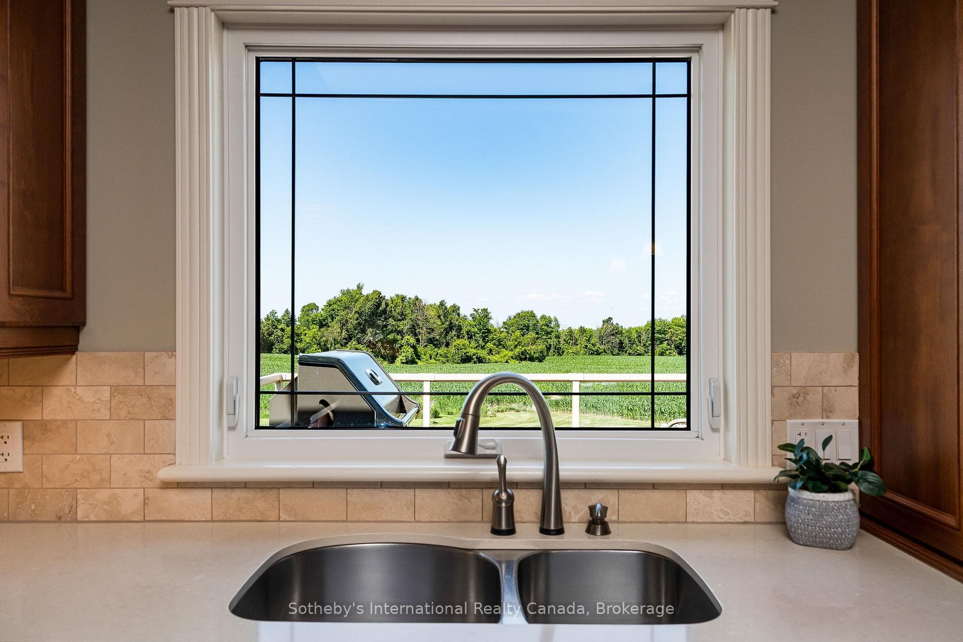 46 SYDENHAM Trail photo 15