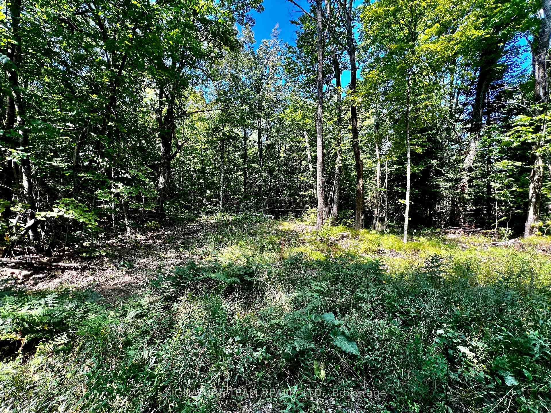 0 Nordic Lane photo 38