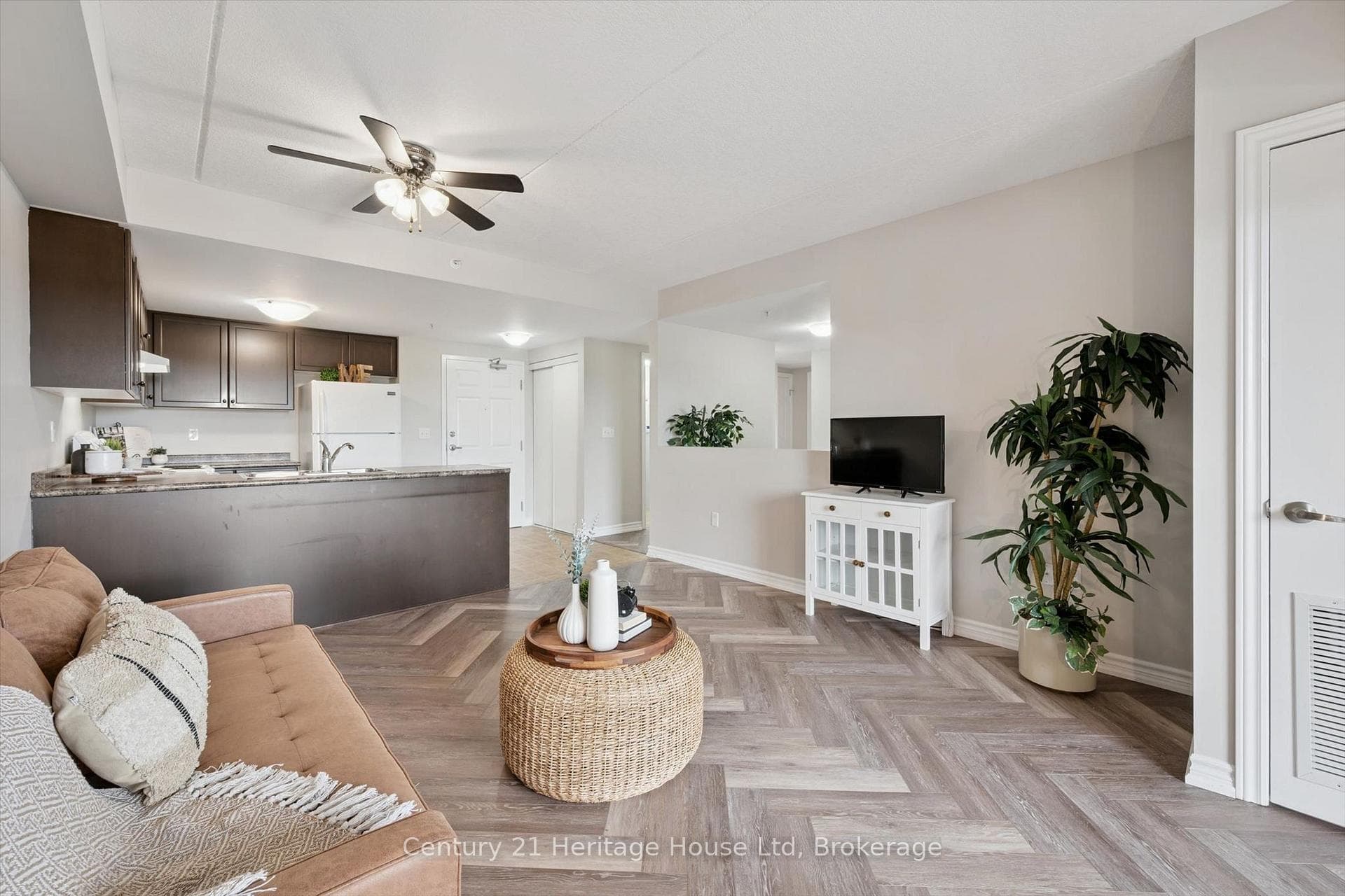 60 Lynnmore Street photo 7