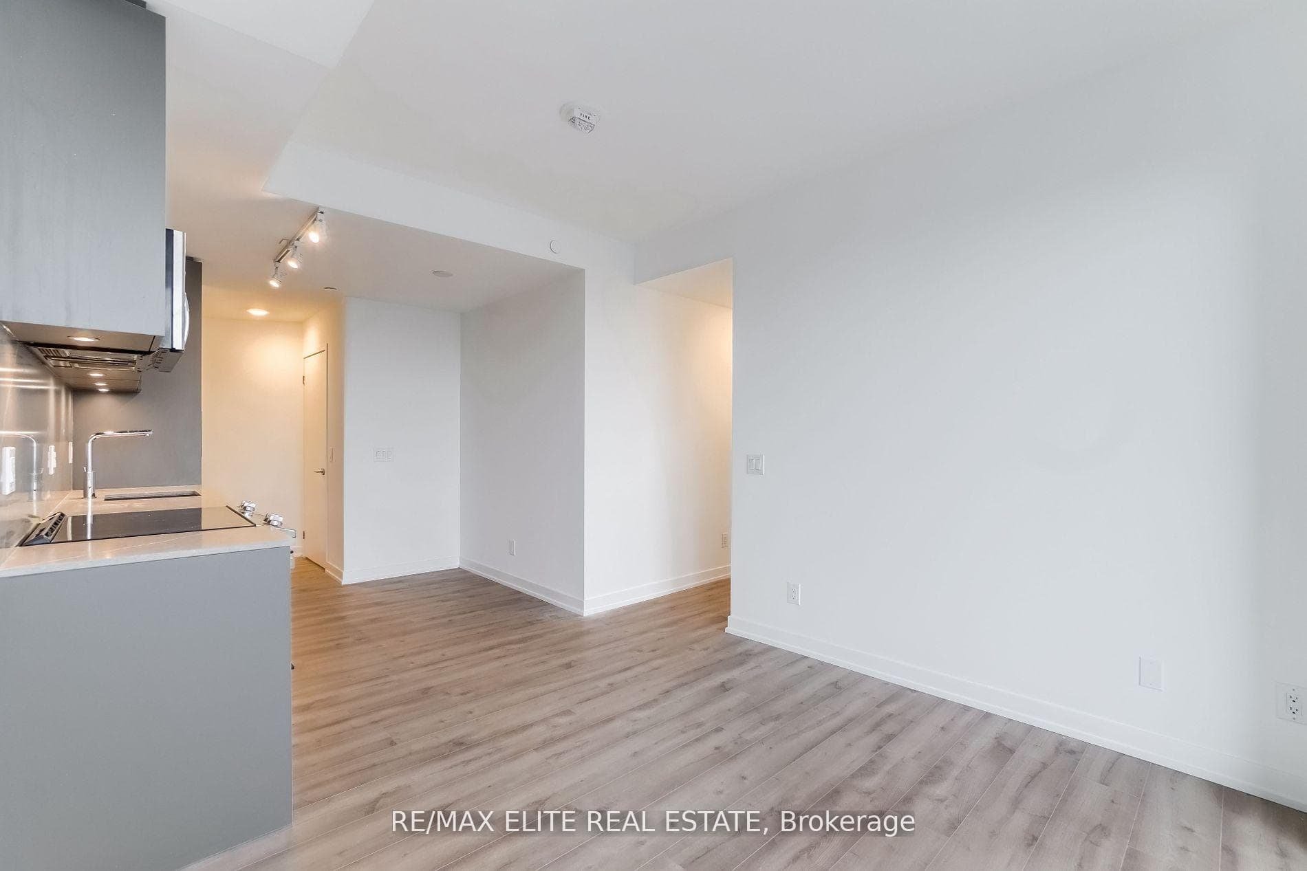 135 East Liberty Street Unit 1003 photo 8
