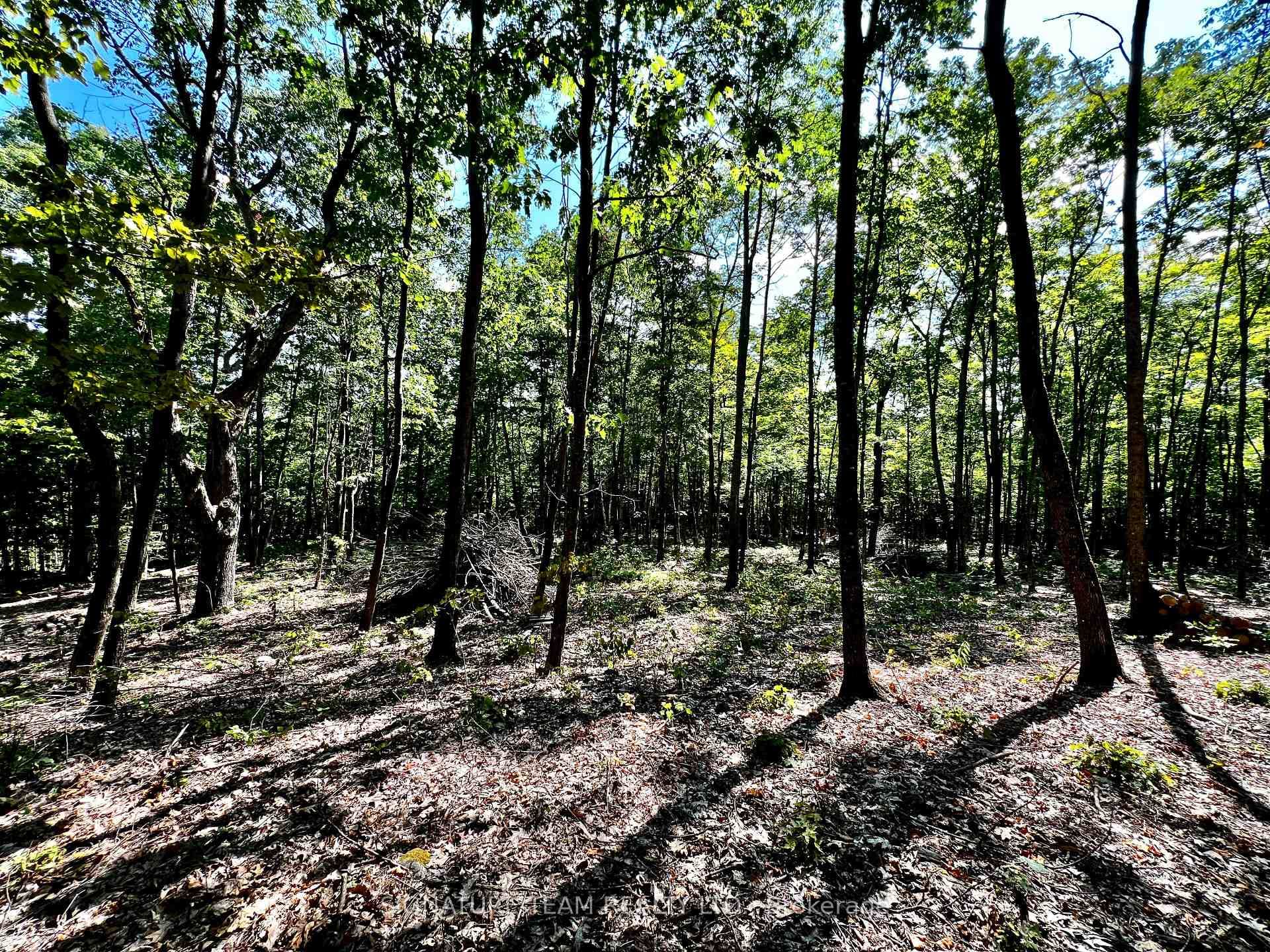 0 Nordic Lane photo 25