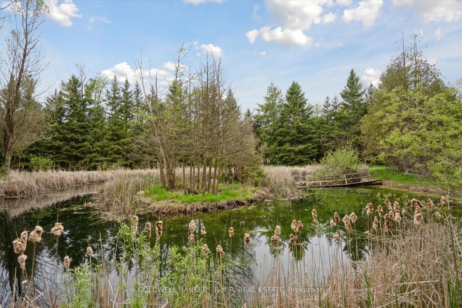 507 Grills Road photo 33