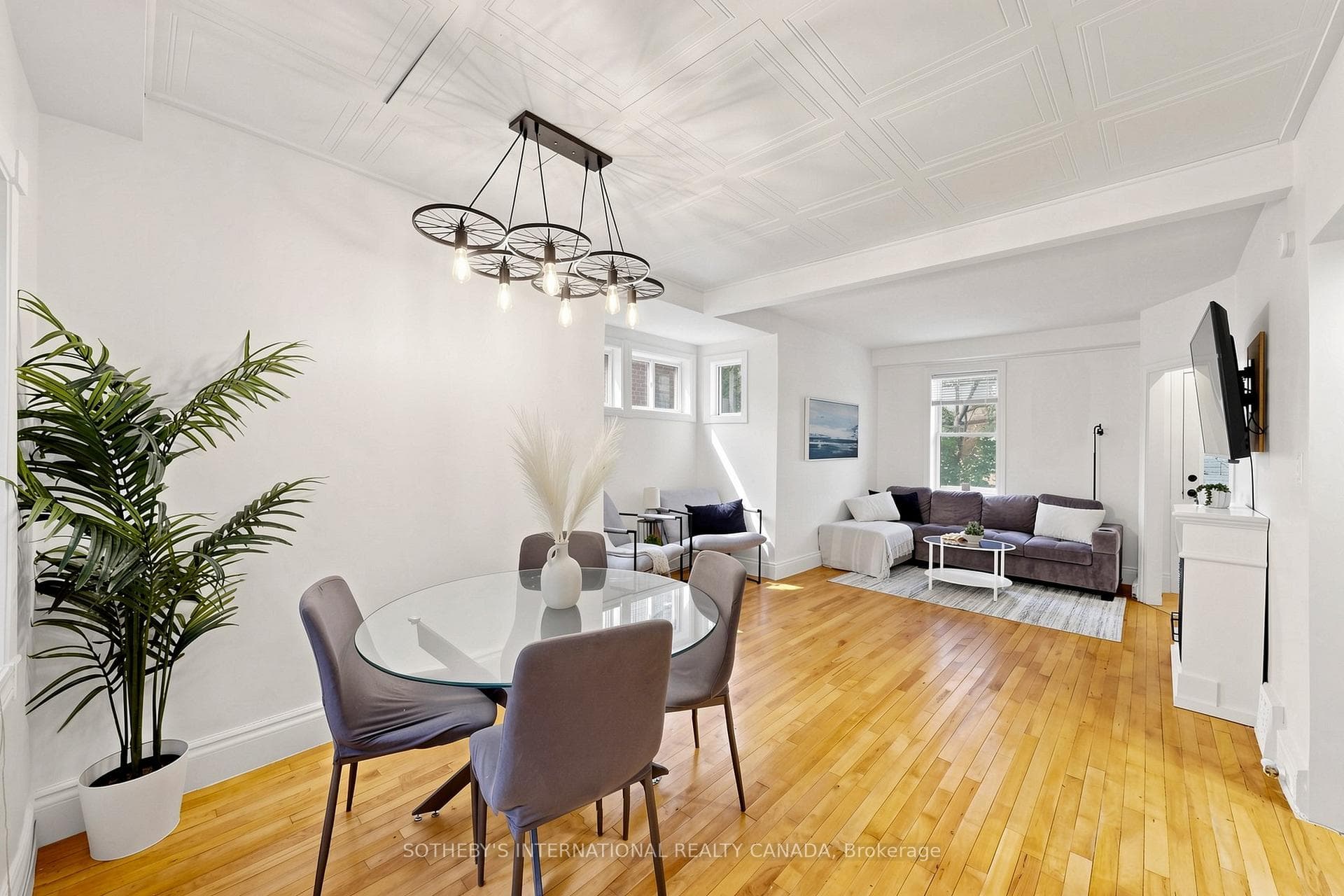 24 Patrick Street photo 10