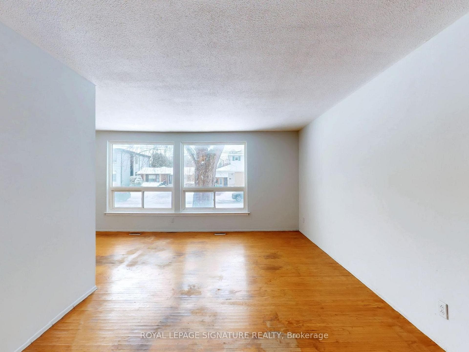 791 Oliva Street photo 2
