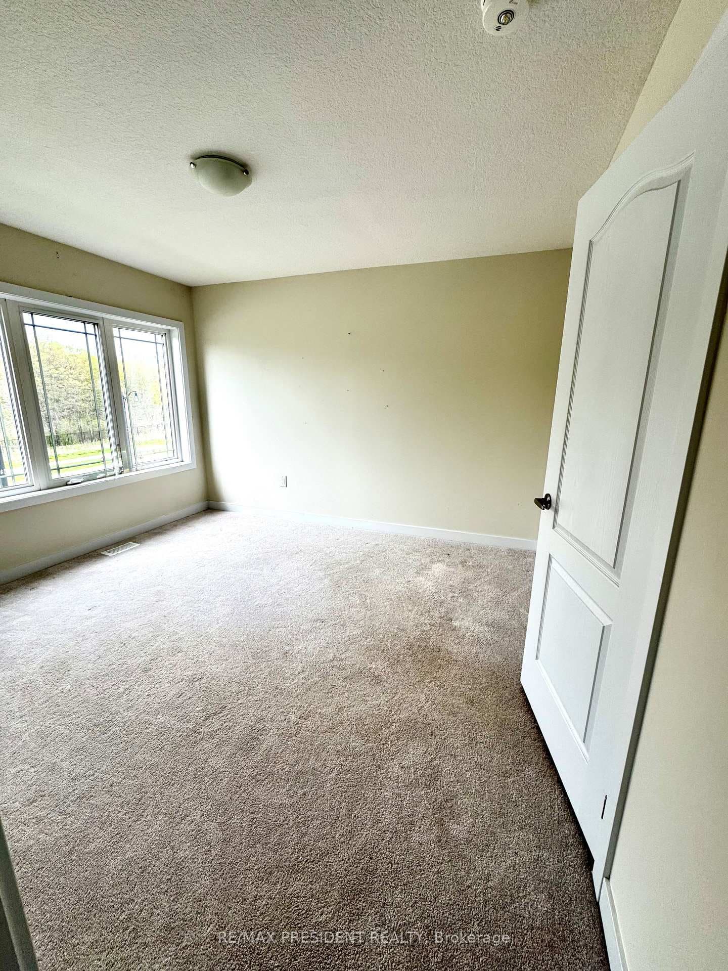 167 Stern Drive photo 19