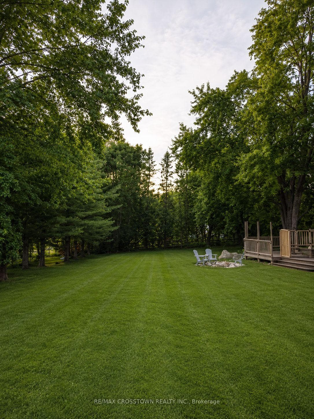 Backyard on a 230ft deep lot