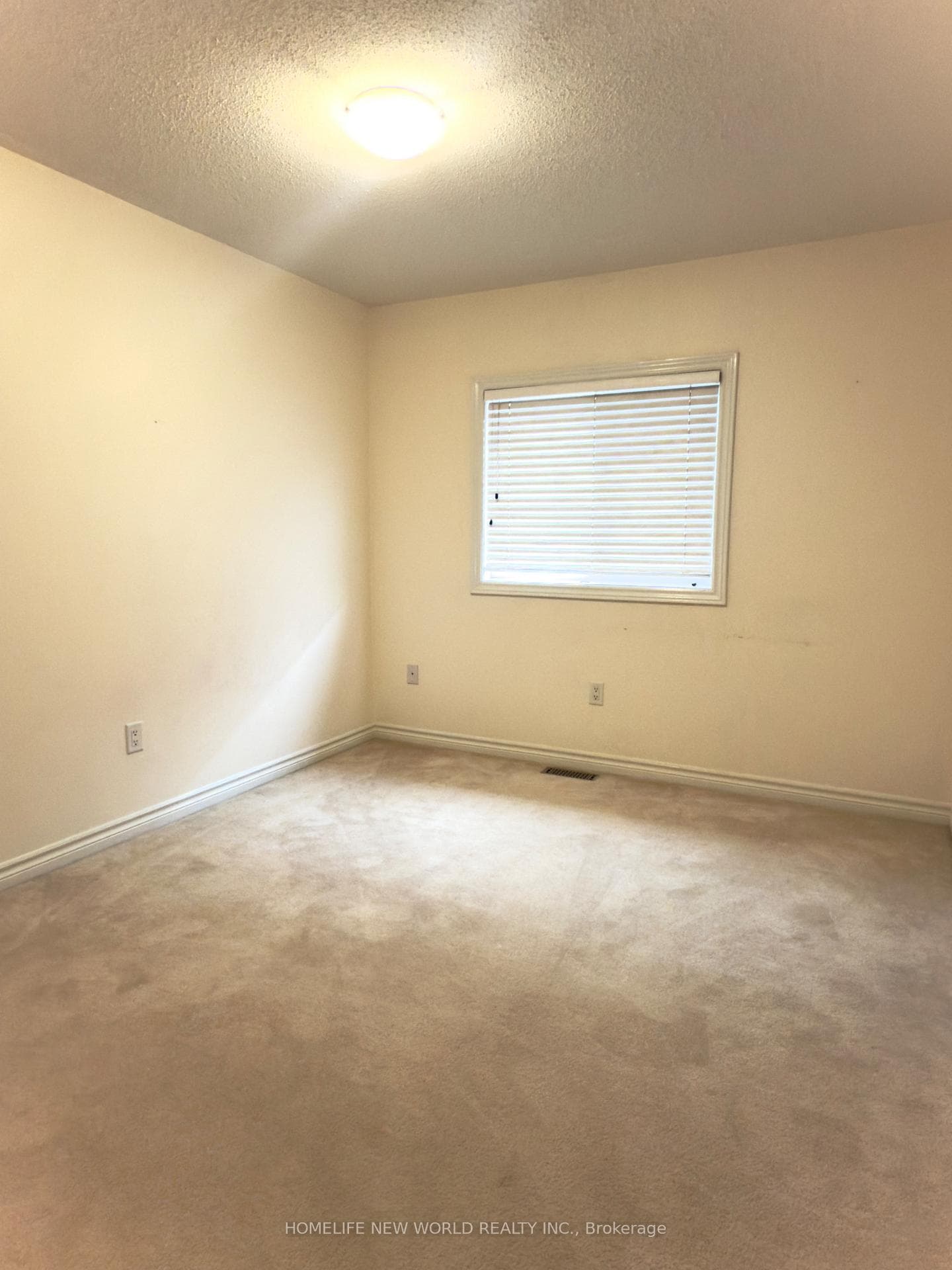 223 Bilbrough Street photo 10