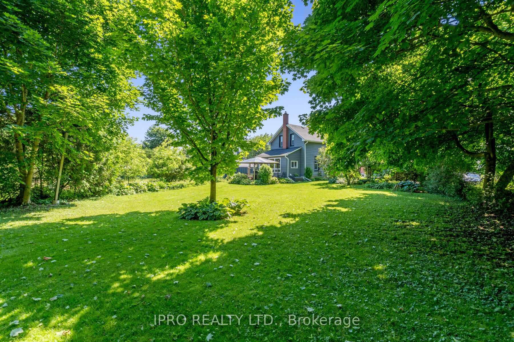 211 Frederick Street photo 36