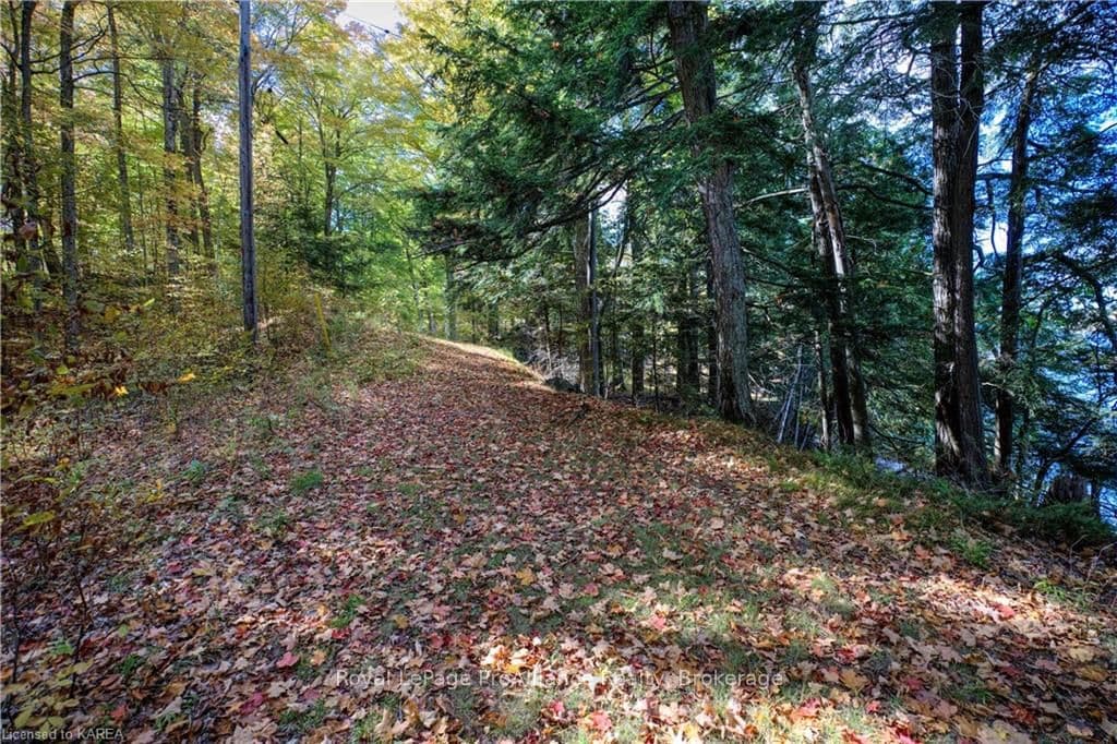 200 SUGAR BUSH LANE N/A photo 31