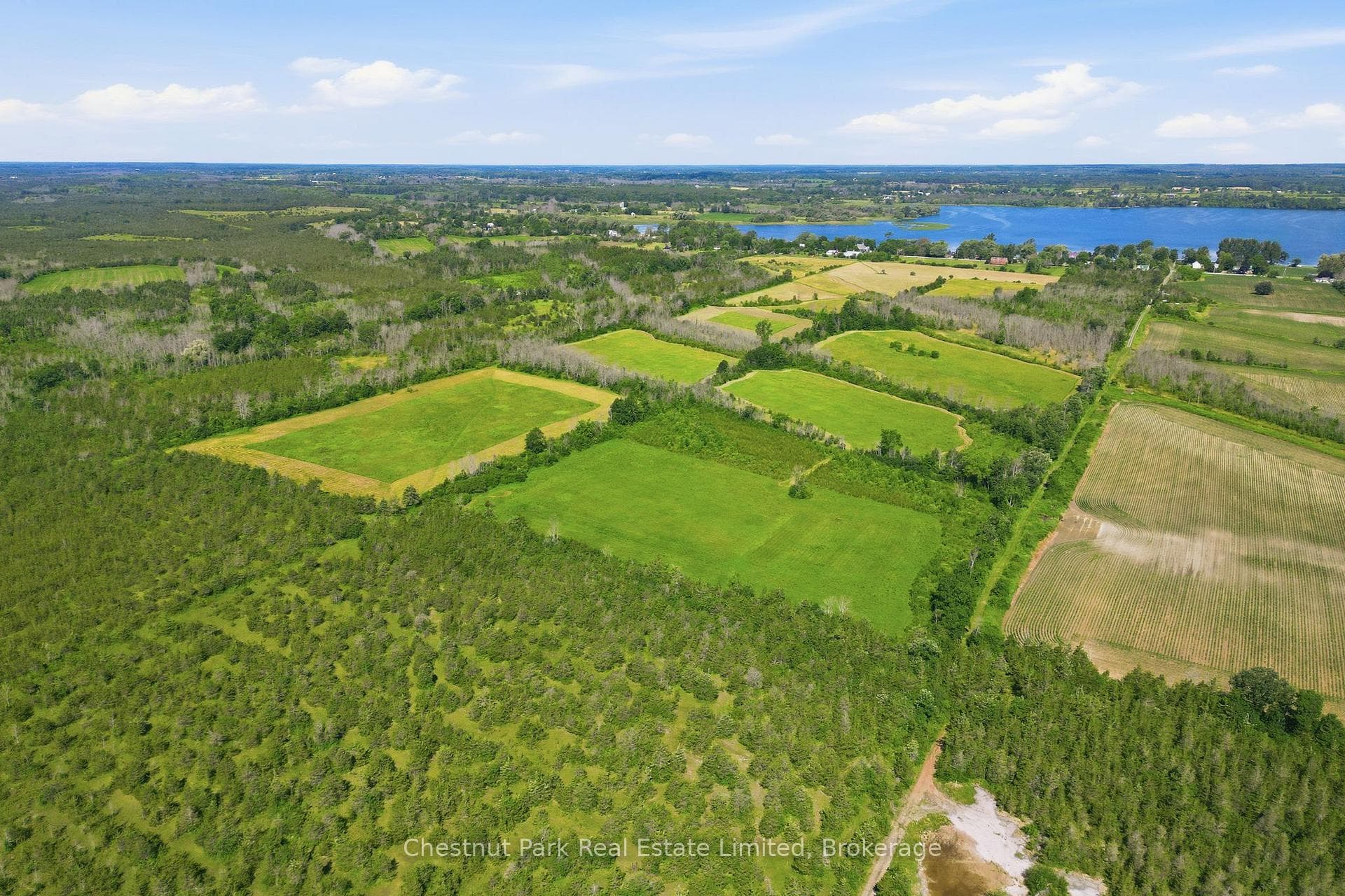 647 Helmer Road photo 19