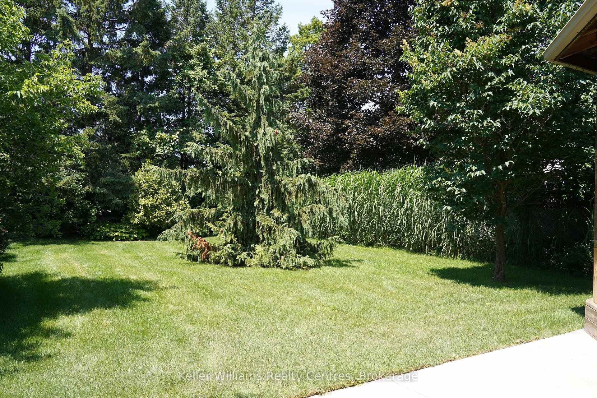152 Kincardine Street photo 37