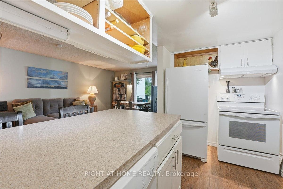 1102 Horseshoe Valley Road Unit 108 photo 6
