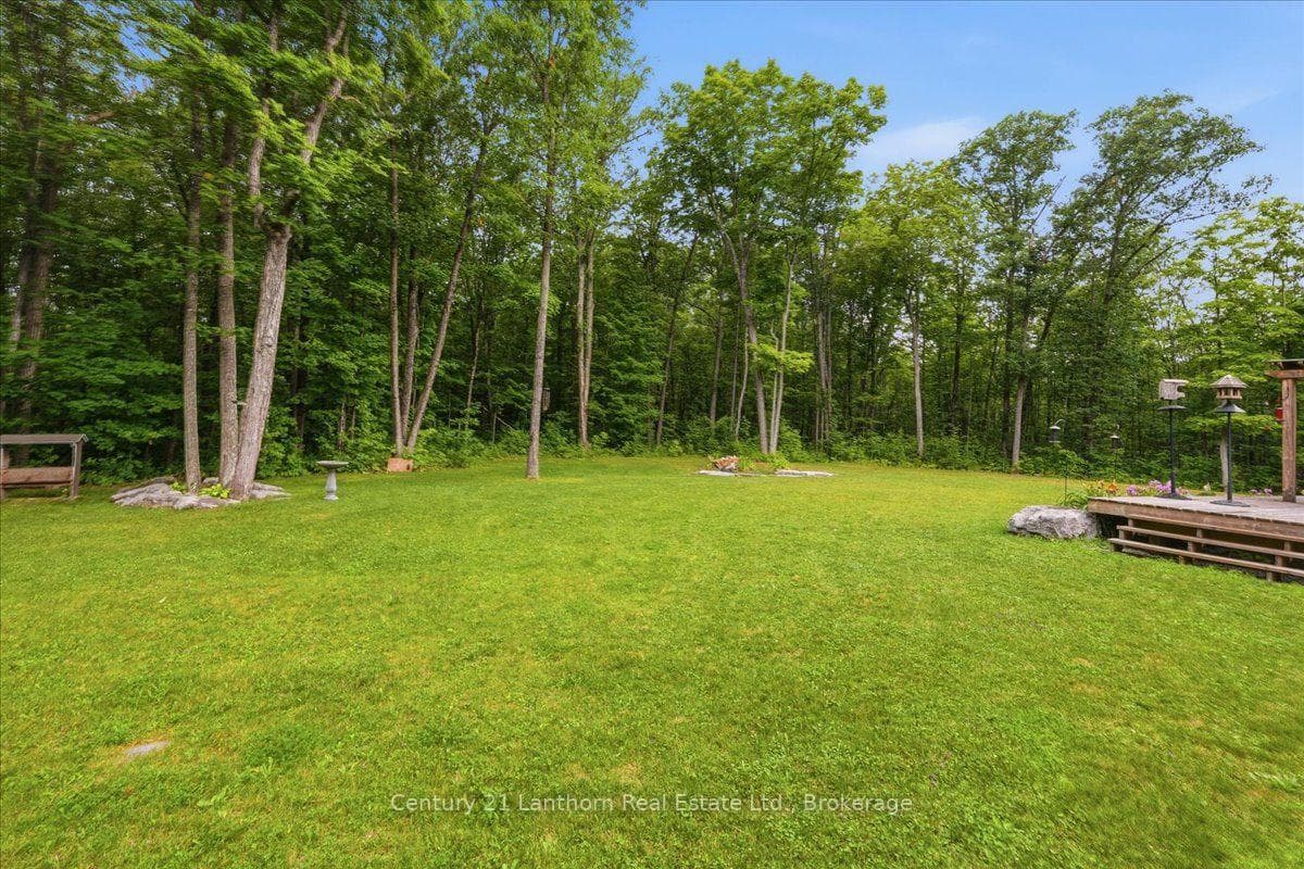 81 Reynolds Road photo 42