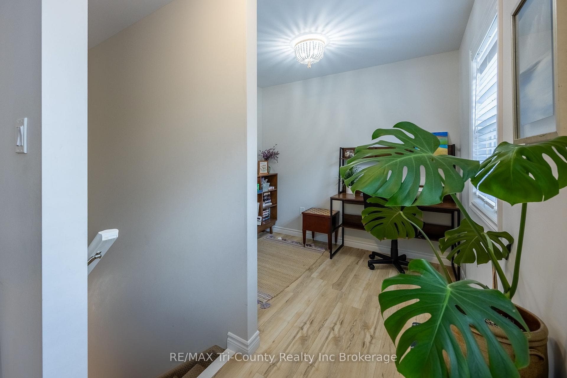 6 Addison Street photo 27