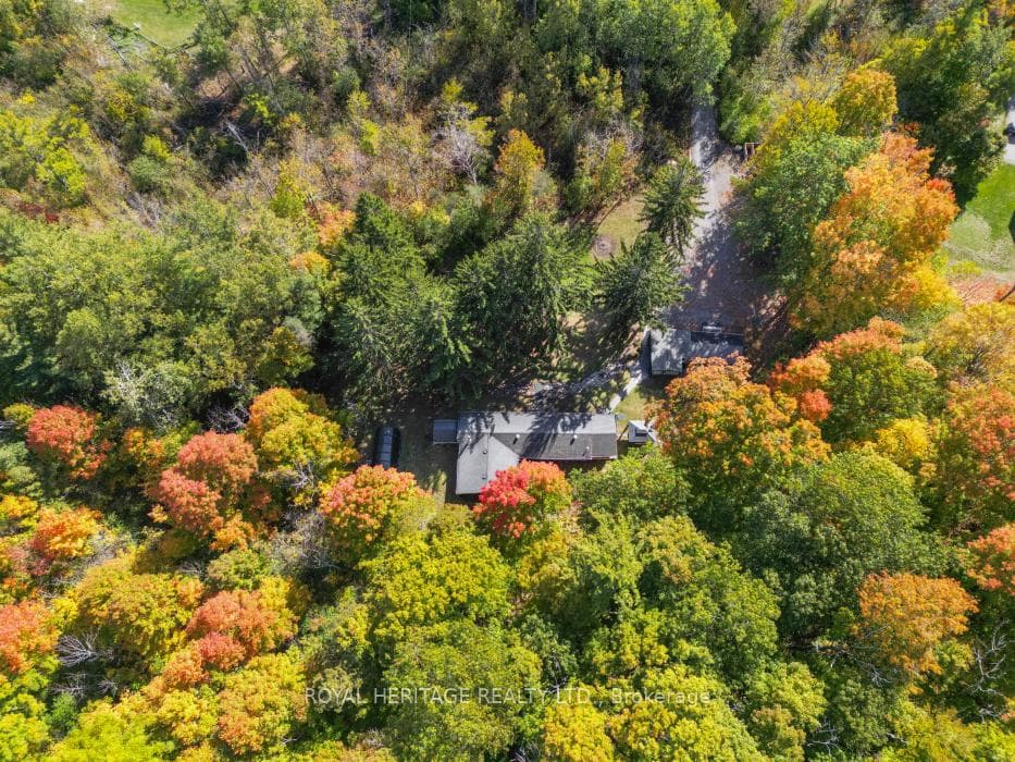 15354 County Road 2 Road photo 41