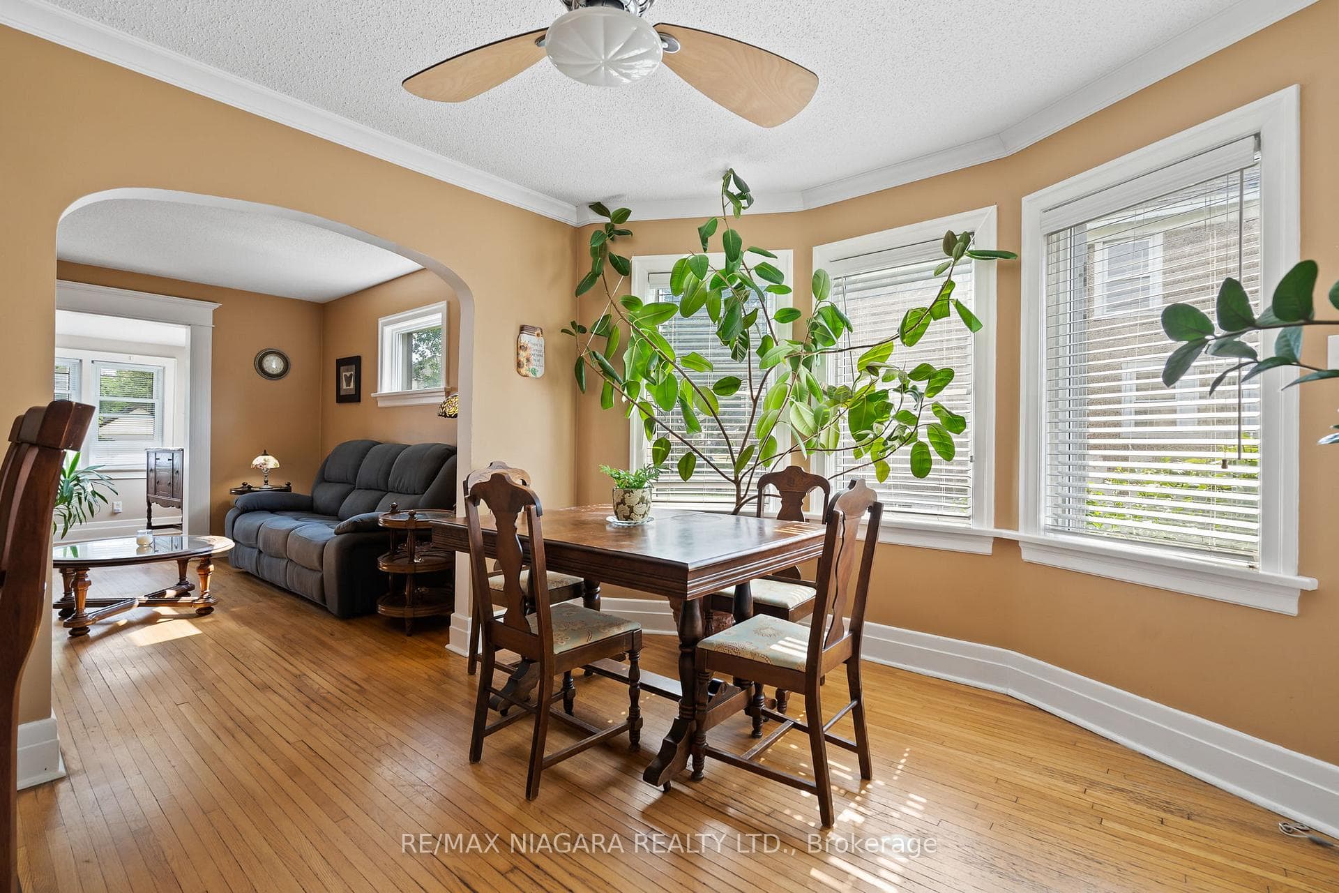 257 Ash Street photo 20