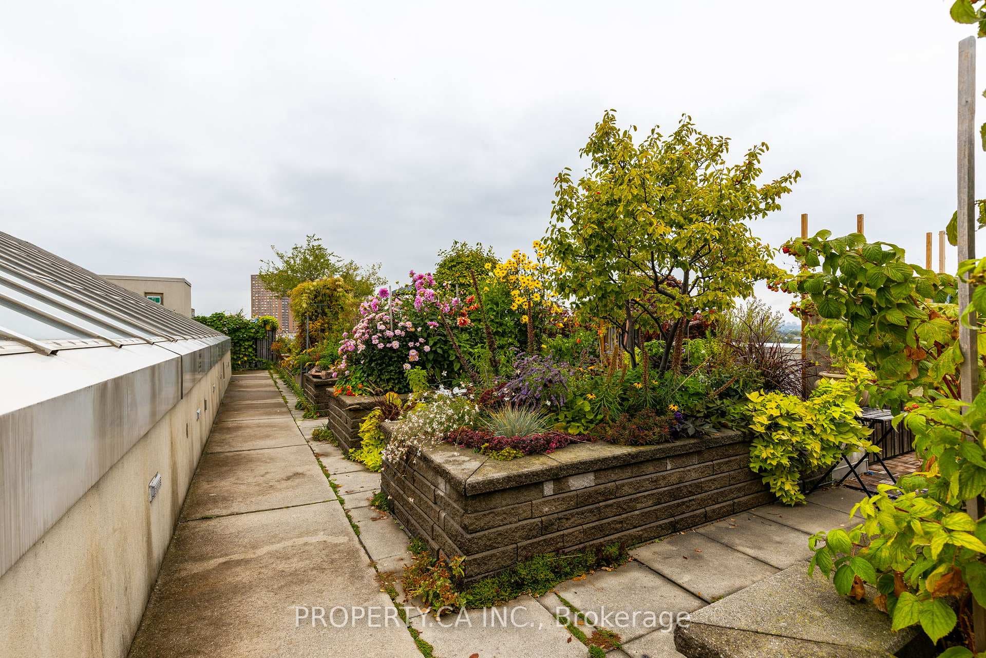 437 Roncesvalles Avenue Unit 211 photo 24