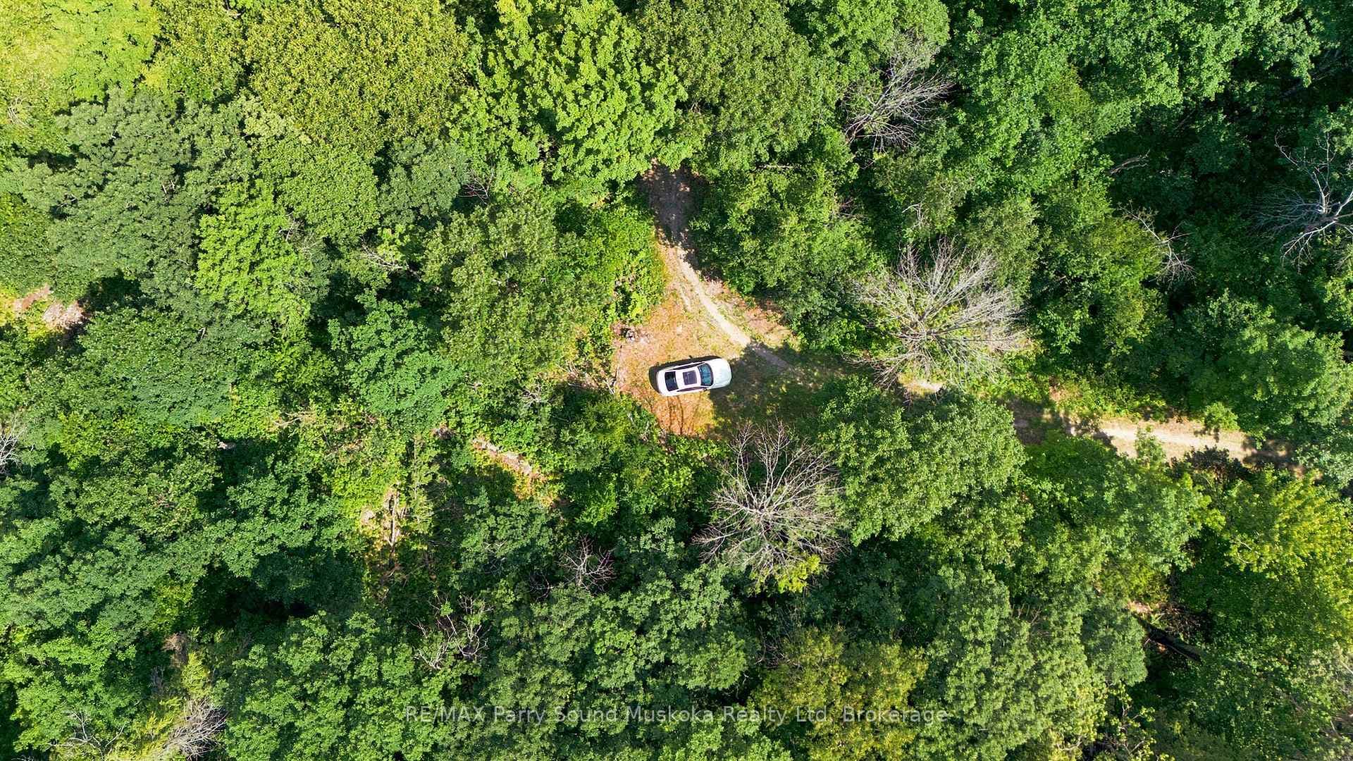 24 South Crane Lake Road photo 15