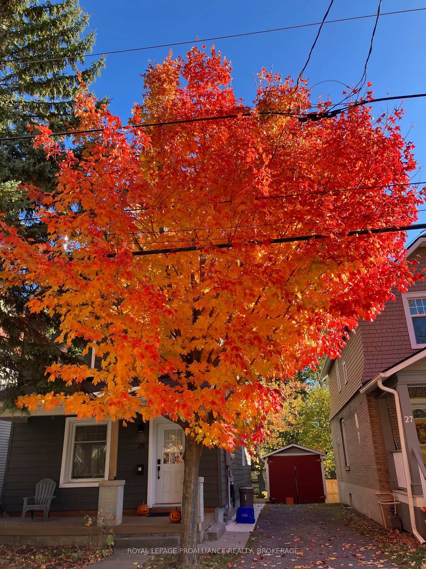 29 Livingston Avenue photo 3