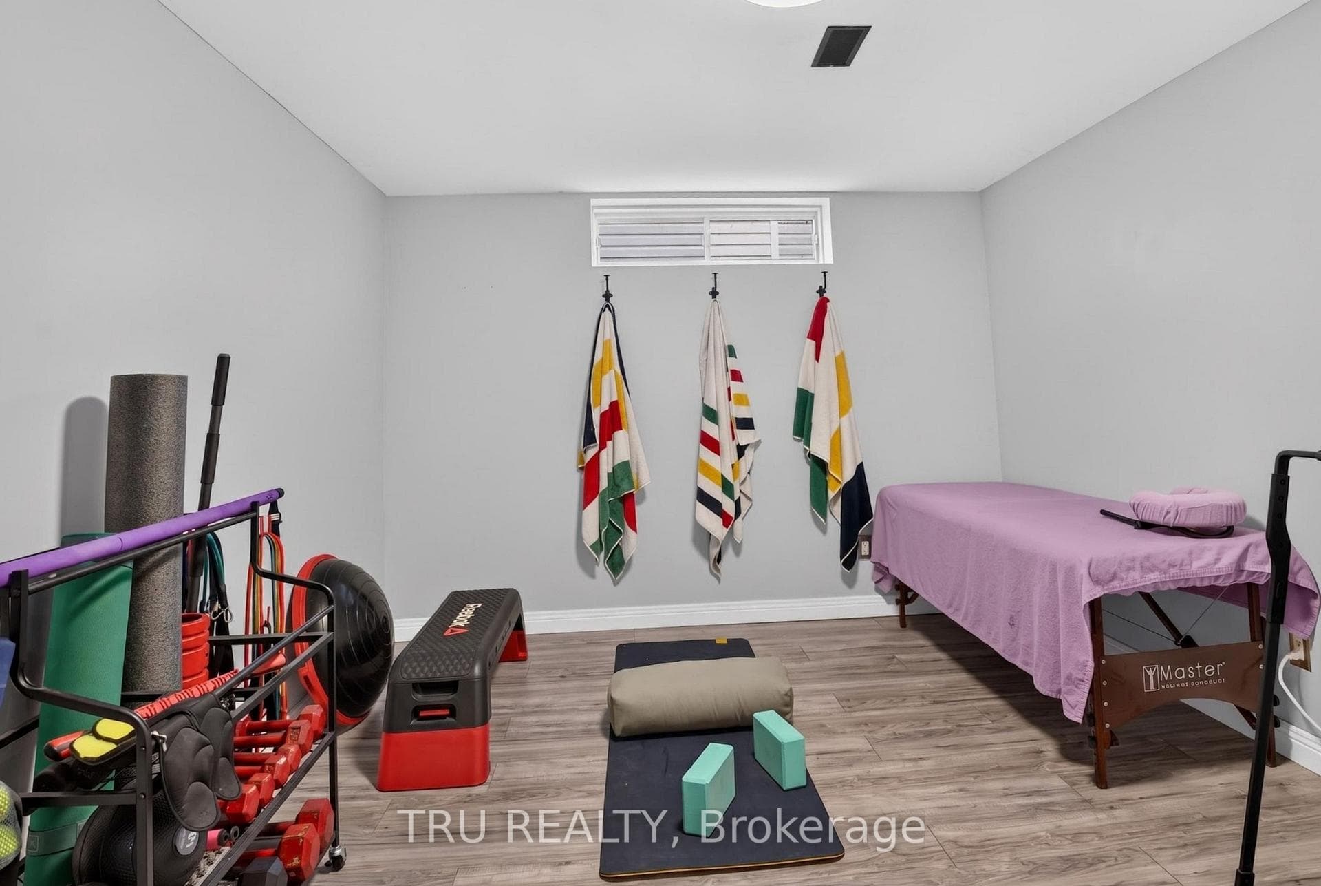 Basement Flex Room