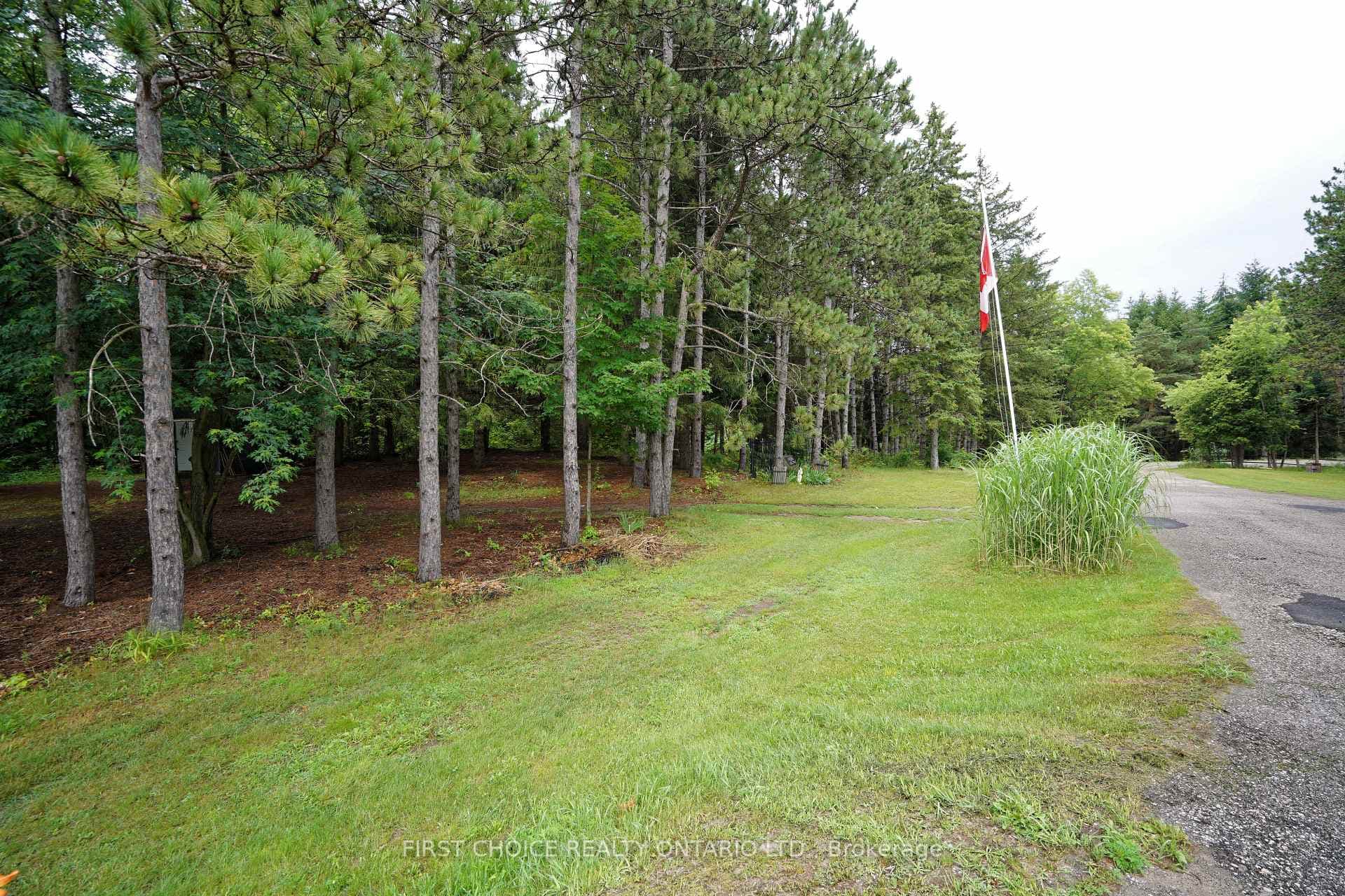 Wooded frontage.