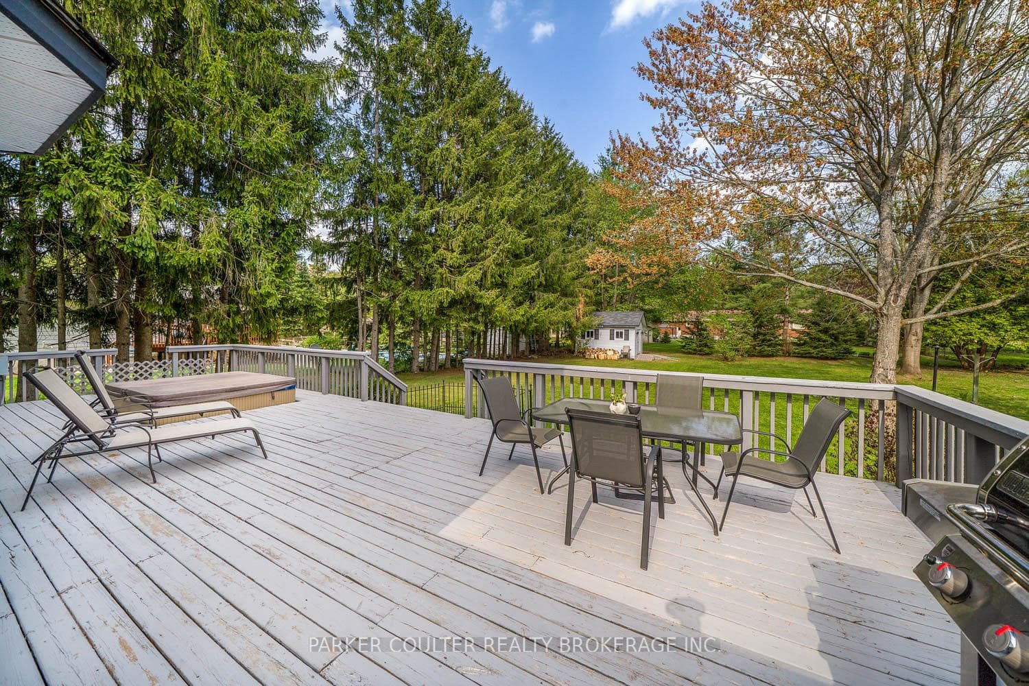 41 Lawrence Avenue photo 20