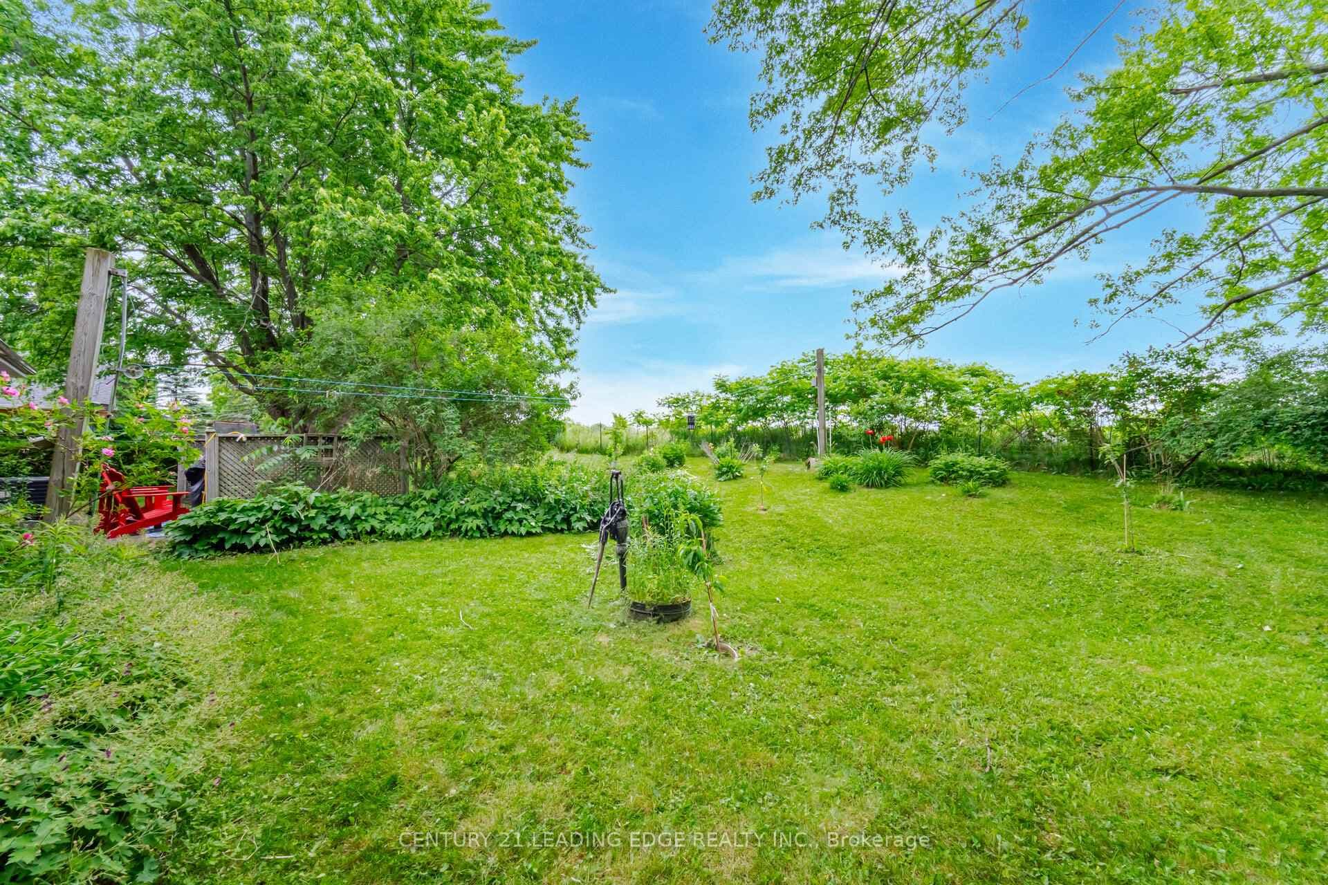 132 Park Street photo 38