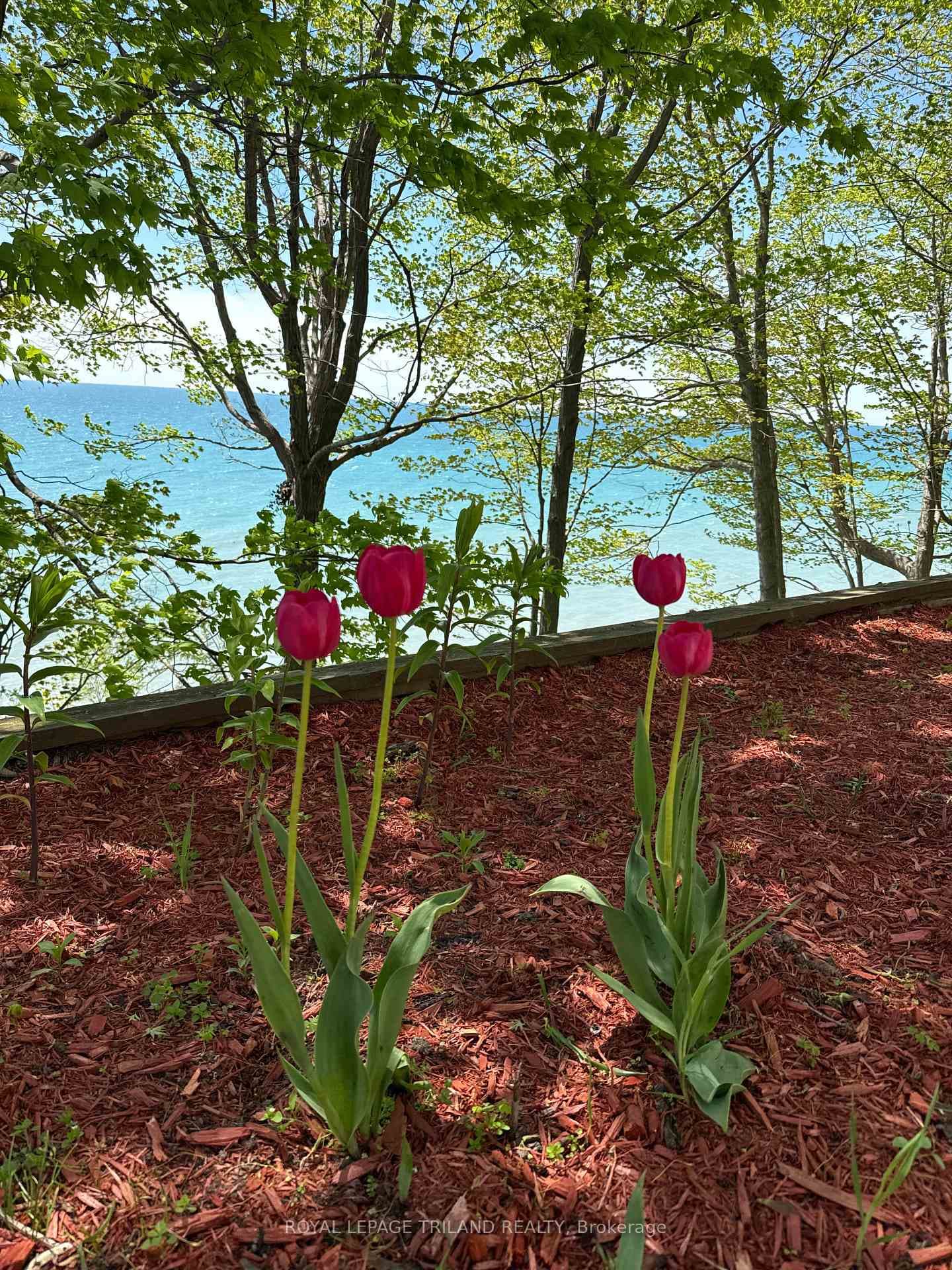 7570 Talbot Trail photo 34