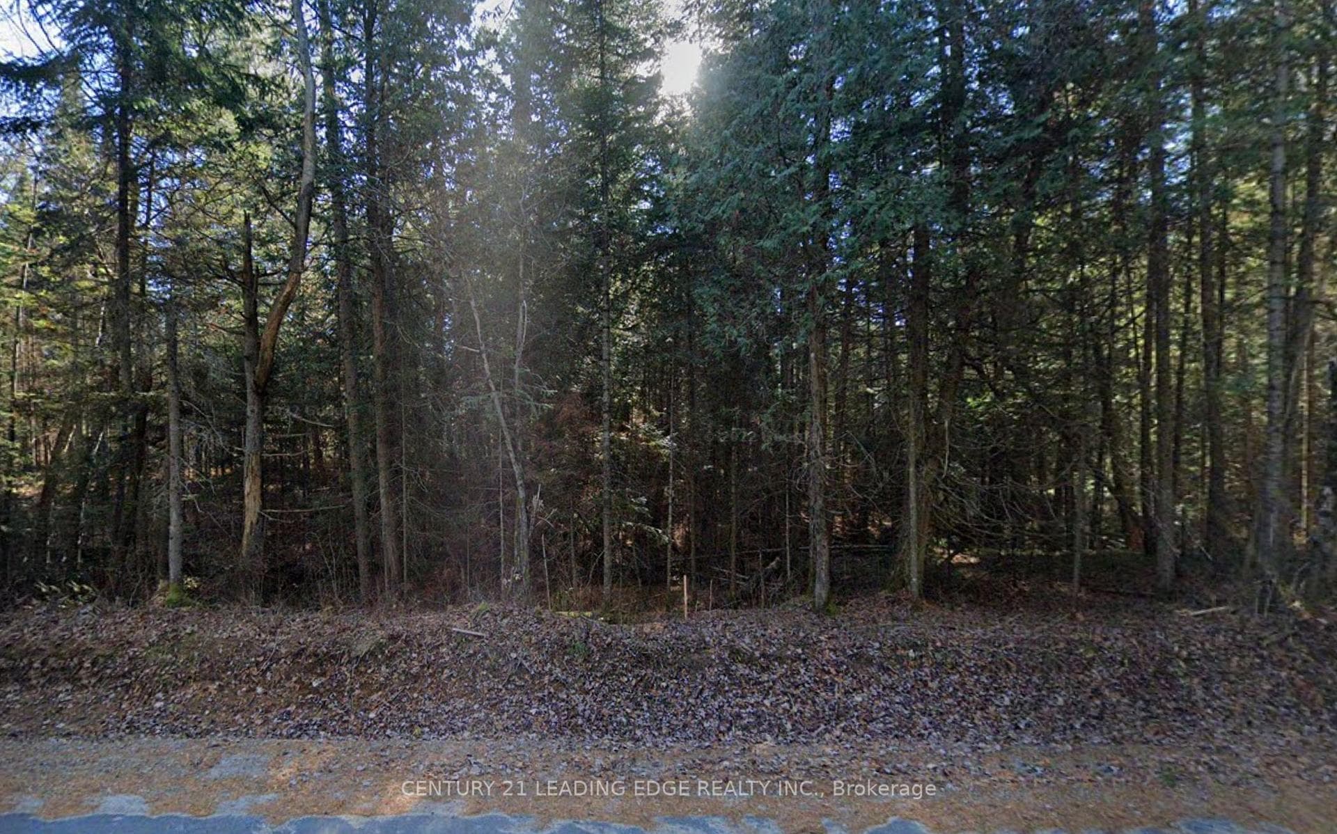 Google Maps Site