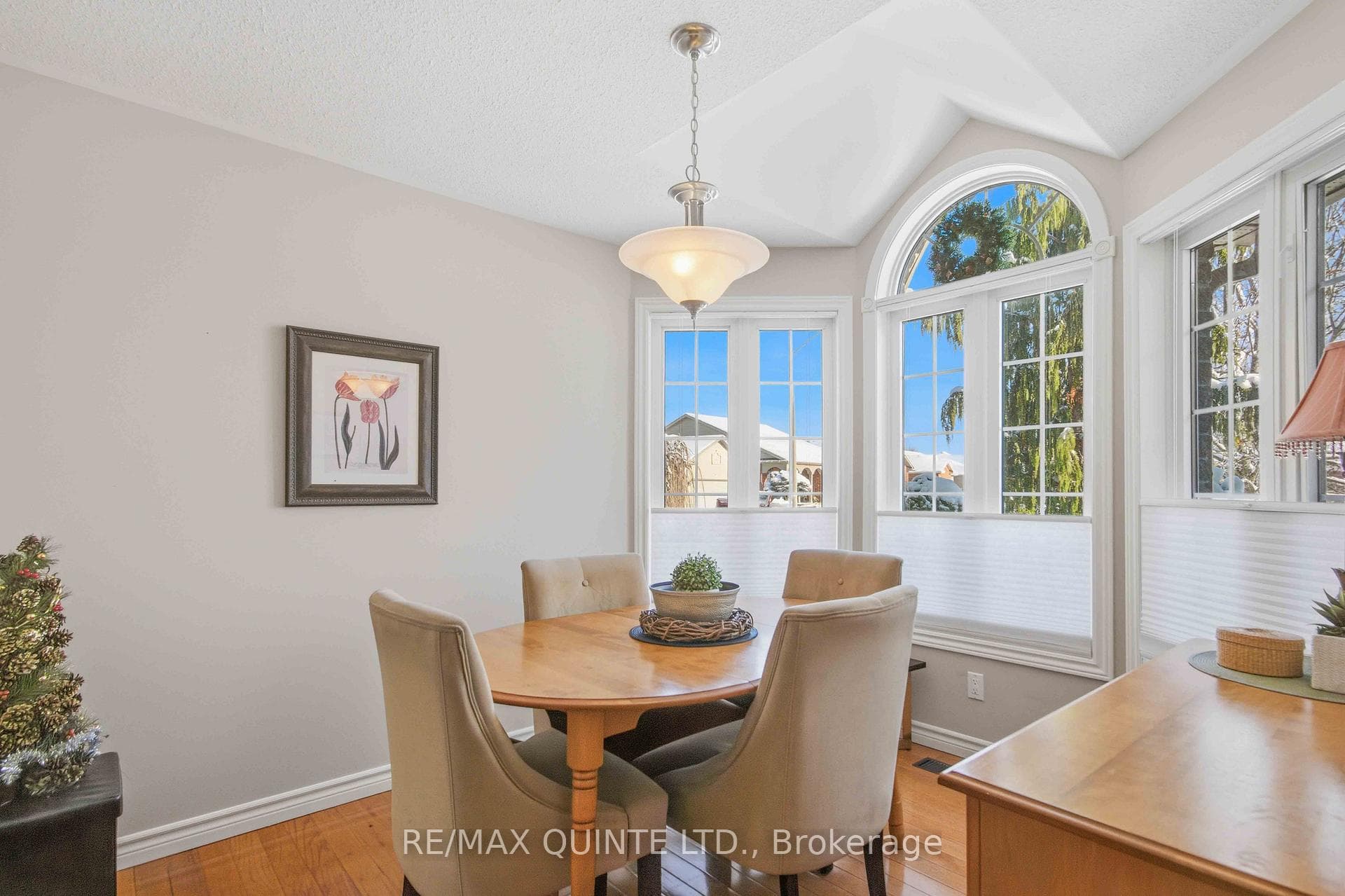 43 Gavey Street photo 8