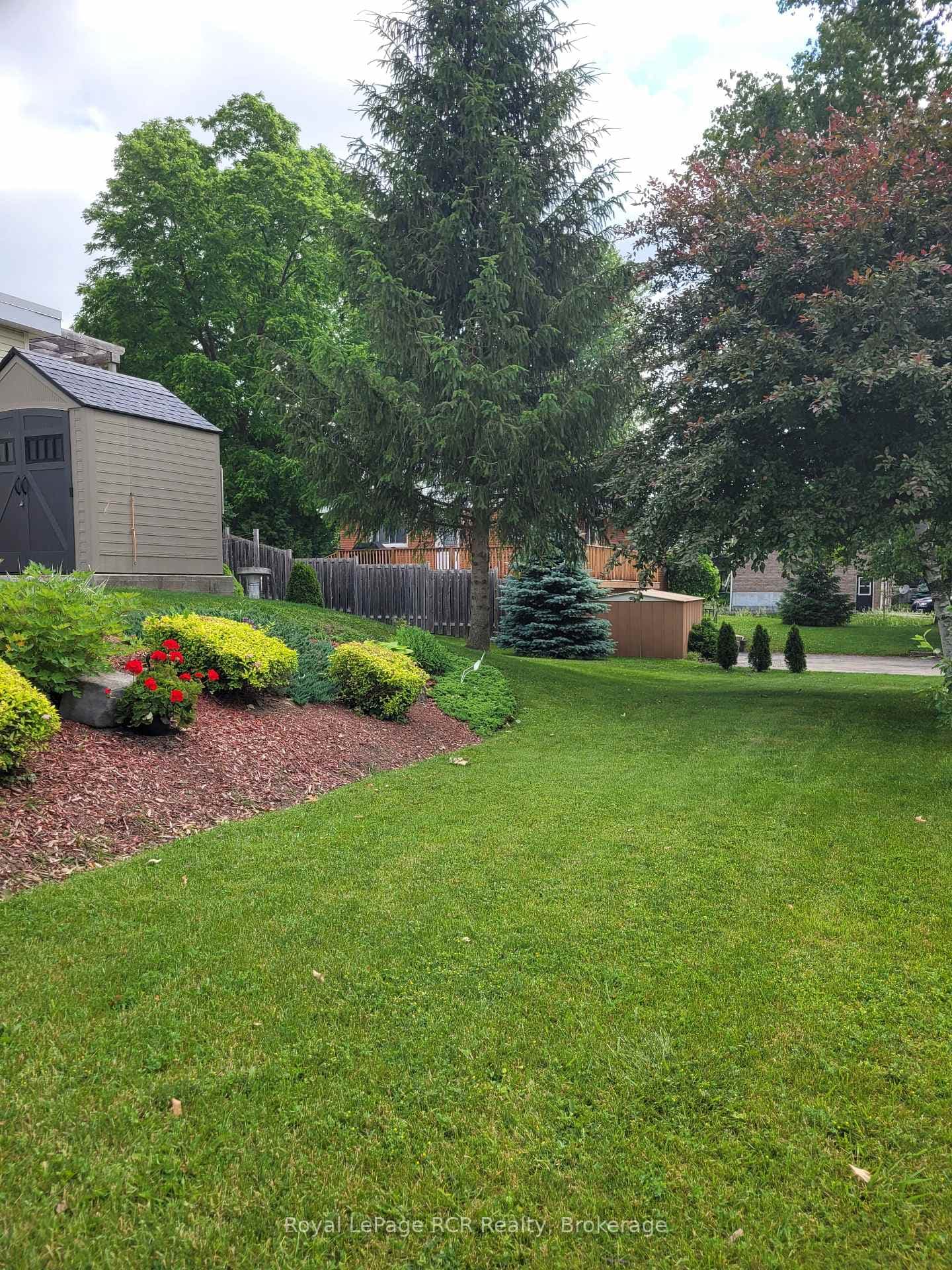 193 Albert Street photo 24