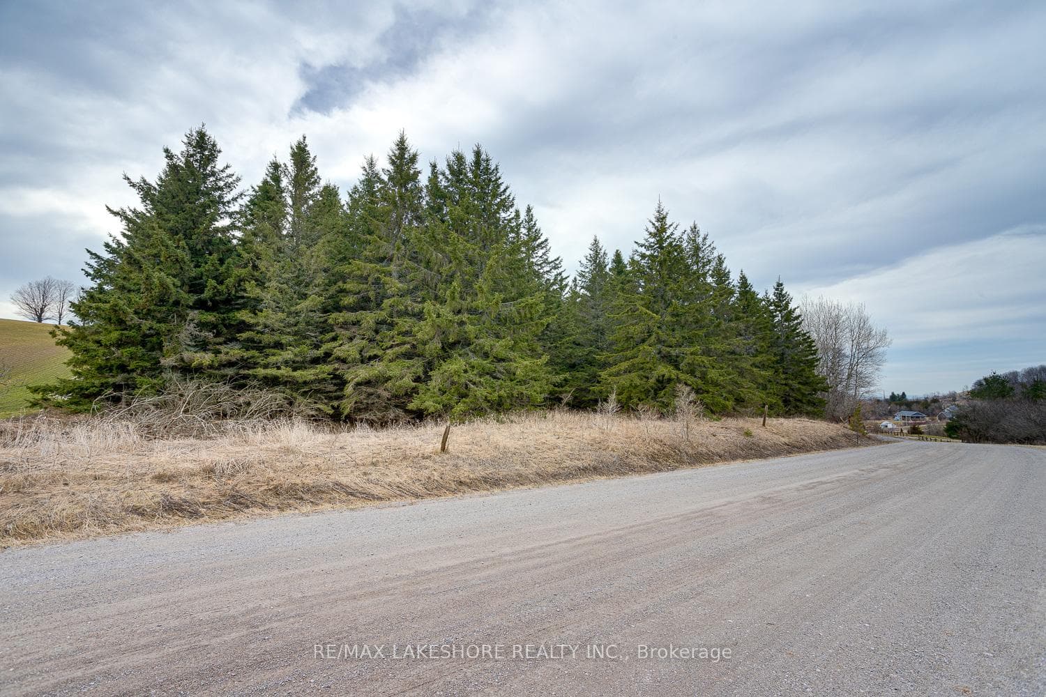 Part 1 Payn Road photo 8