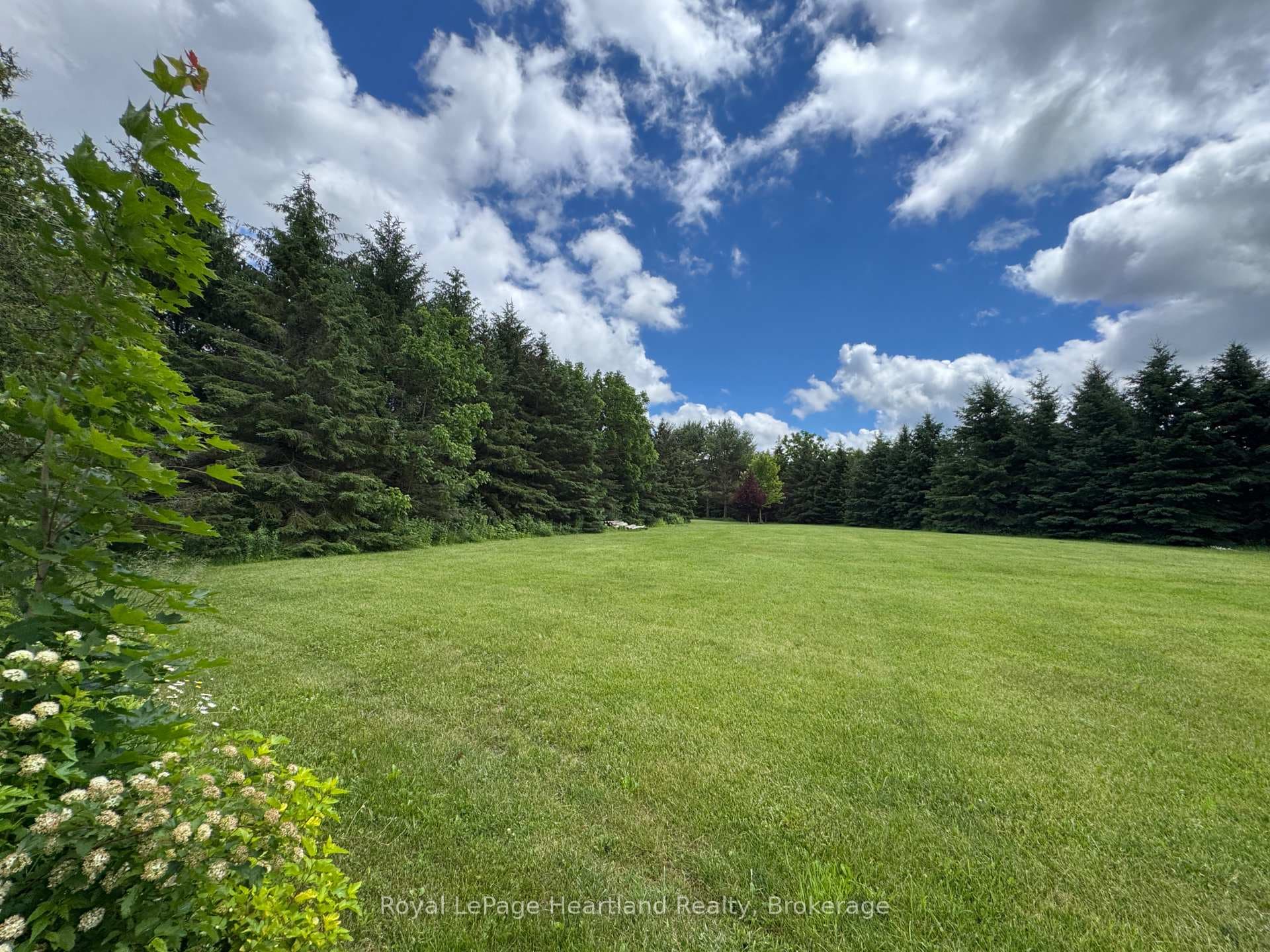 1018 Harriston Road photo 4