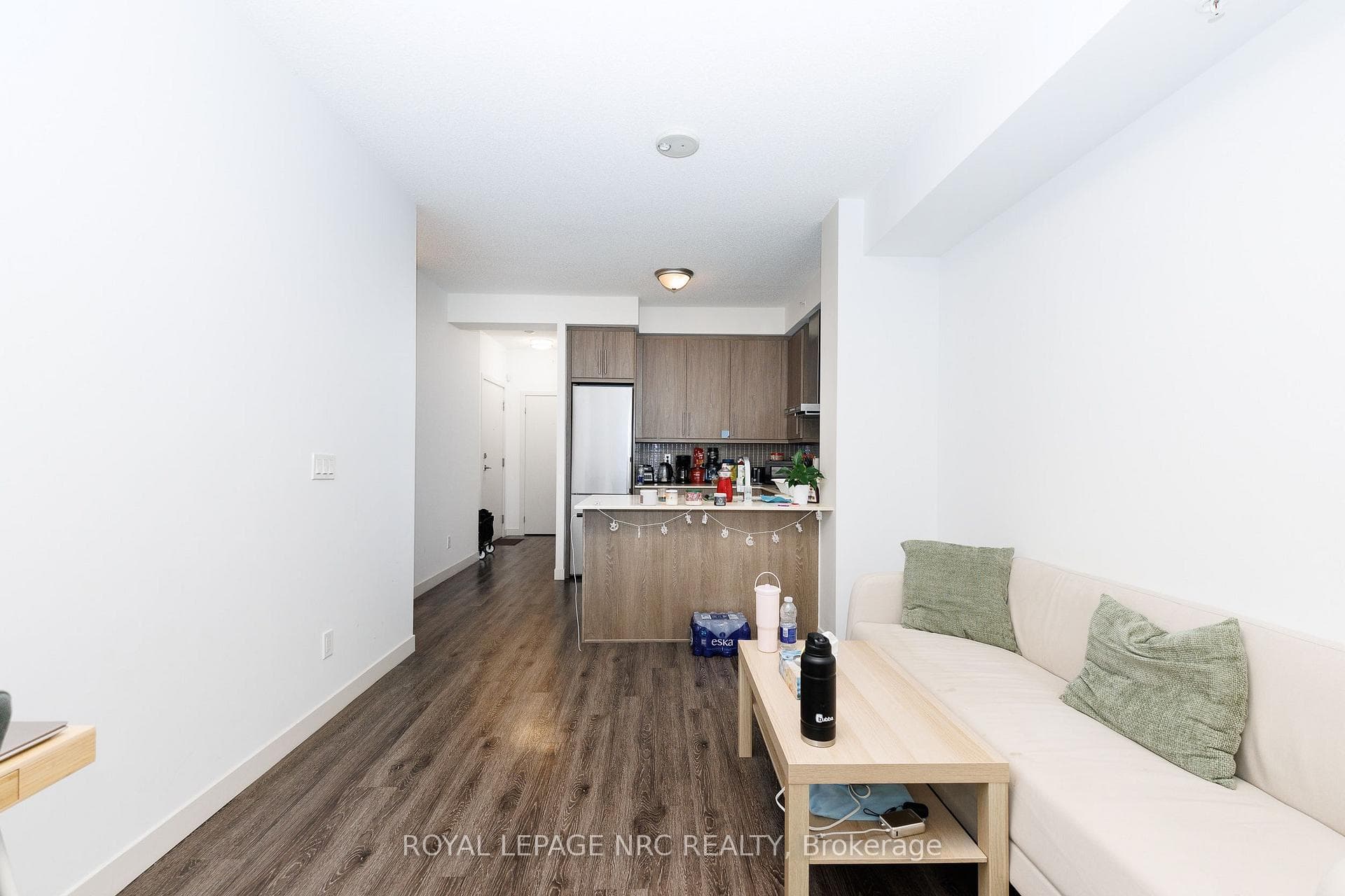 Livingroom and Kitchen
