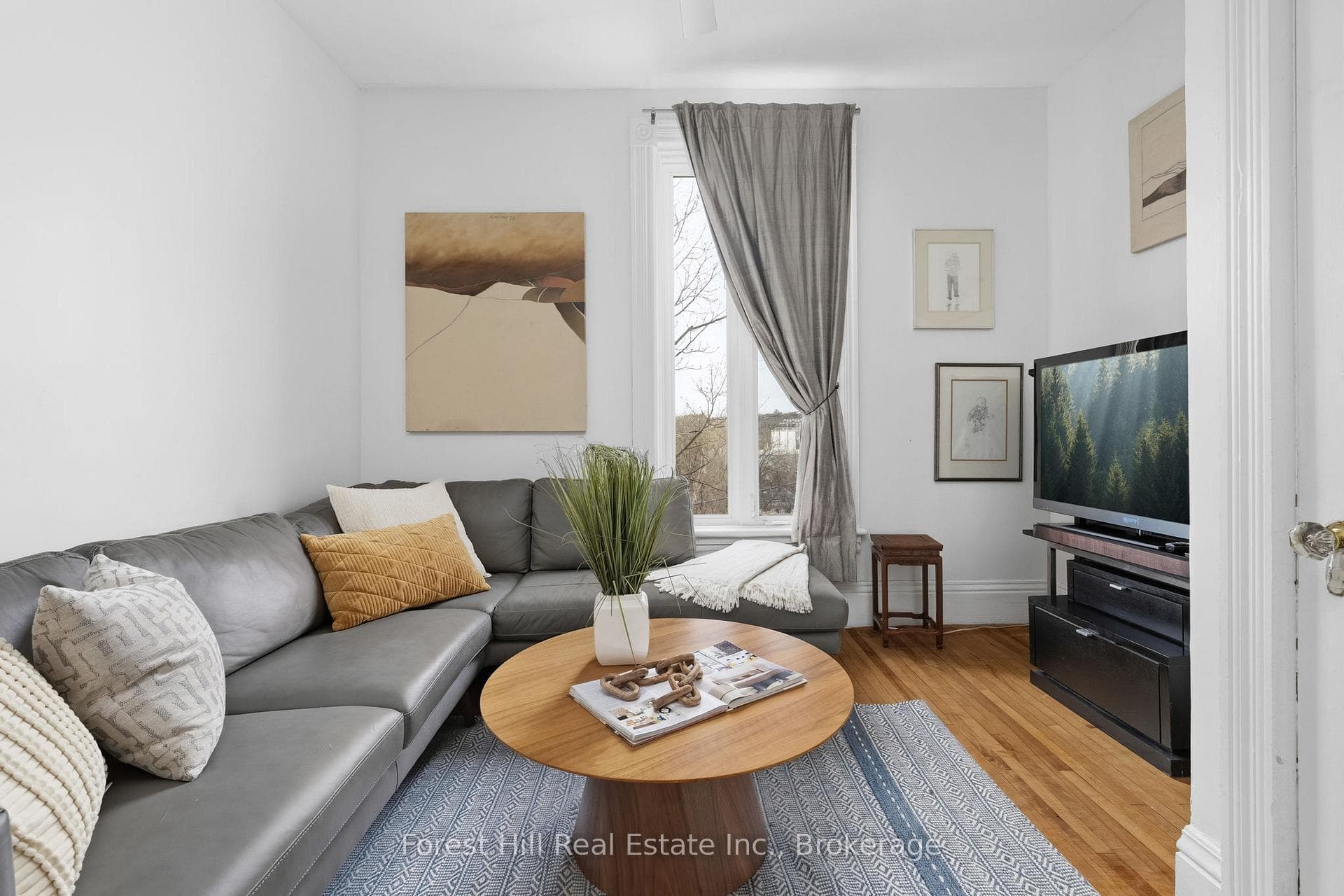 5 Lorne Street photo 30