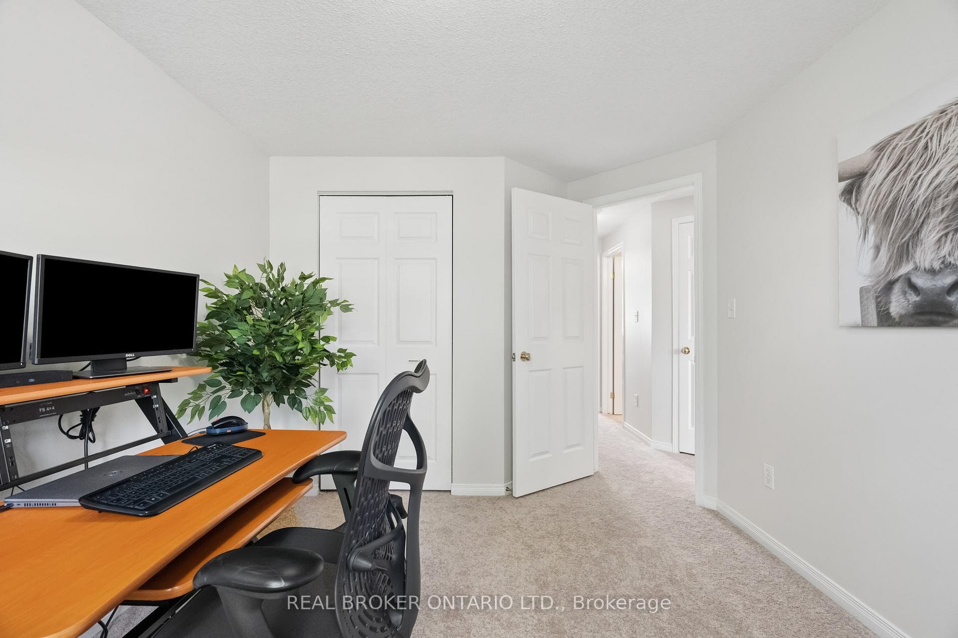 17 Ralston Drive photo 39