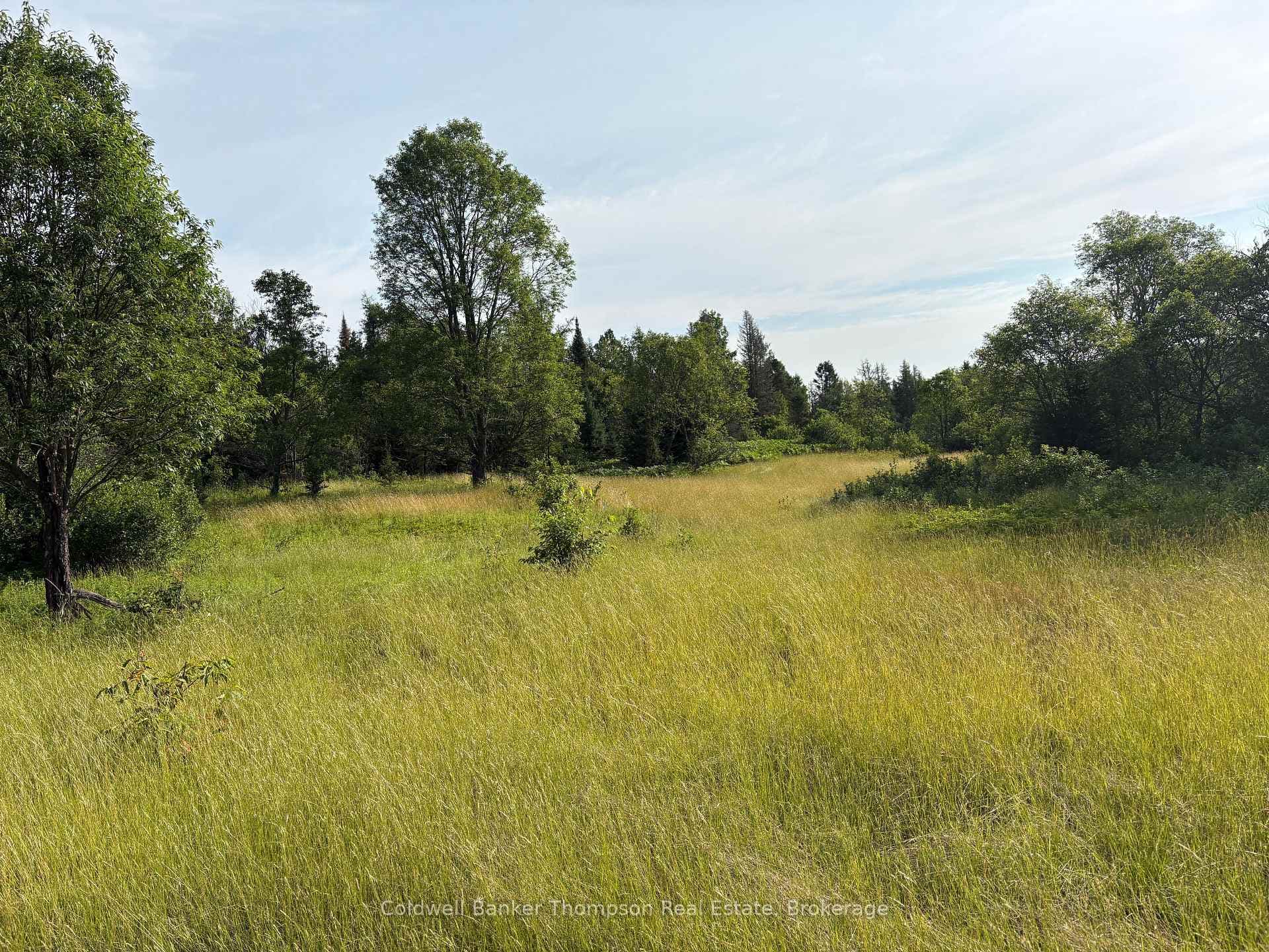 LT 12 Municipal Road photo 4