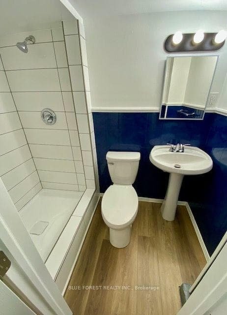 Basement Bathroom