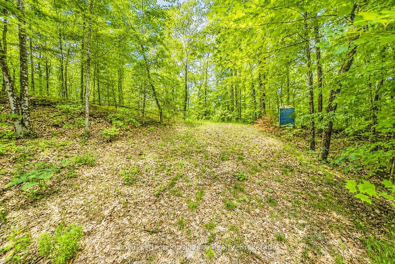 2328B Road 506 N/A photo 15